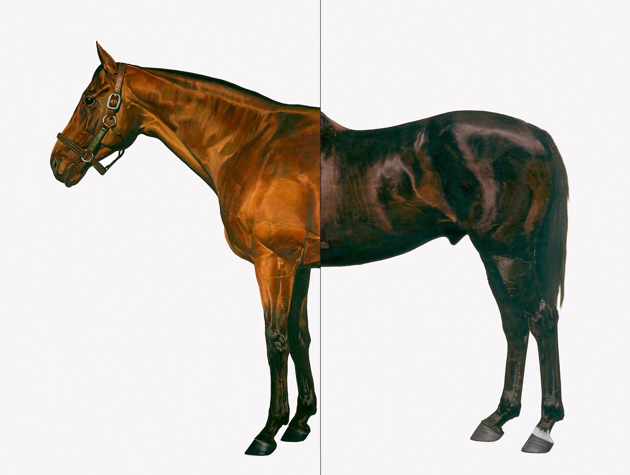 Mark Wallinger, Half-Brother (Exit to Nowhere / Machiavellian), 1994-5.jpg