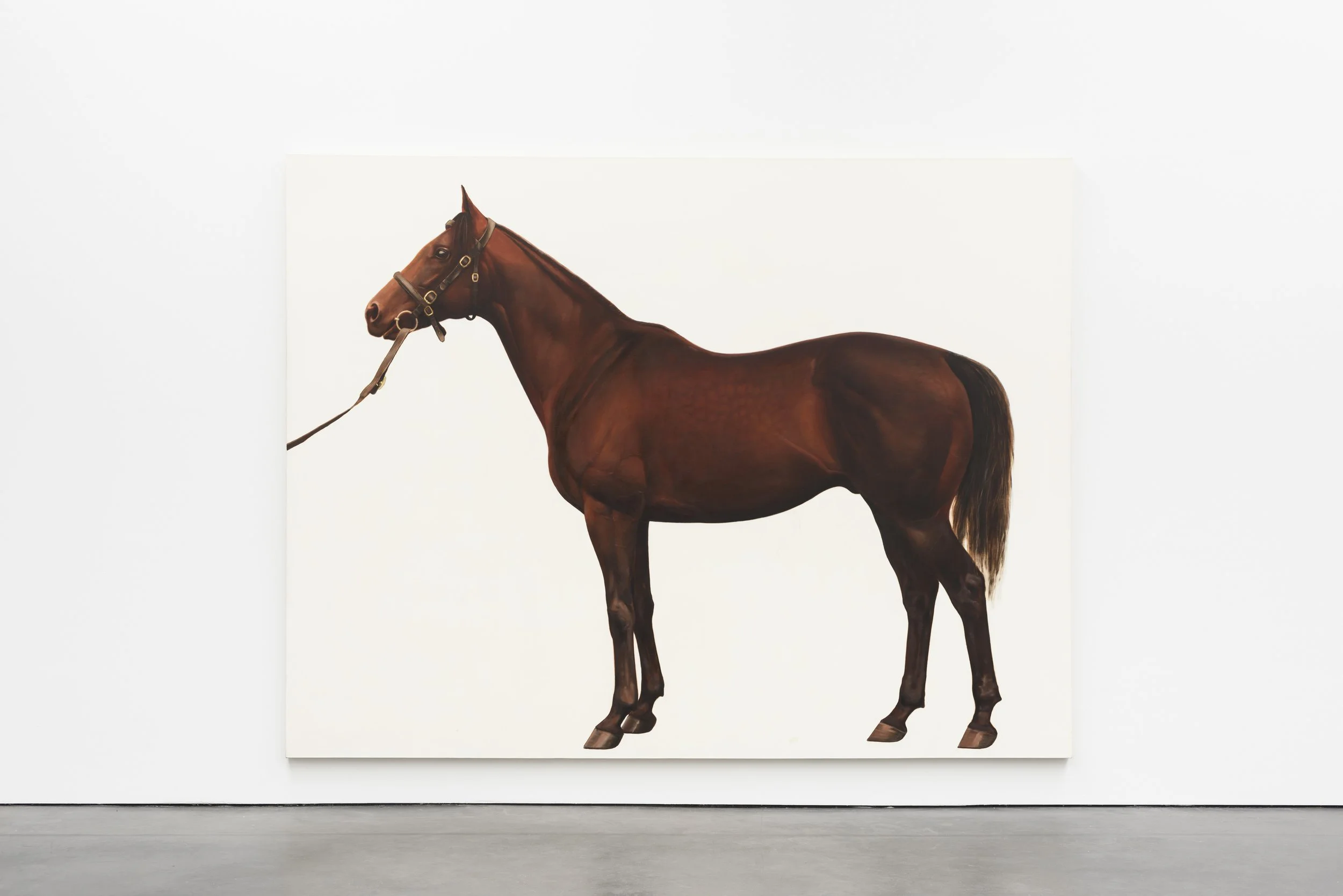  An art gallery exhibits one of four paintings from Race, Class, Sex (1993) by Mark Wallinger, showcasing four male descendants of an Arab stallion imported to England in the 18th century.