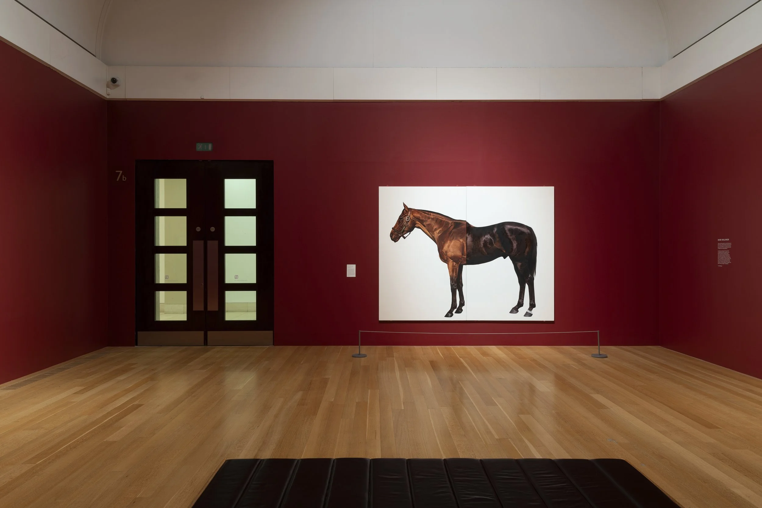 TateImages_I06750_HighRes Mark Wallinger.jpg