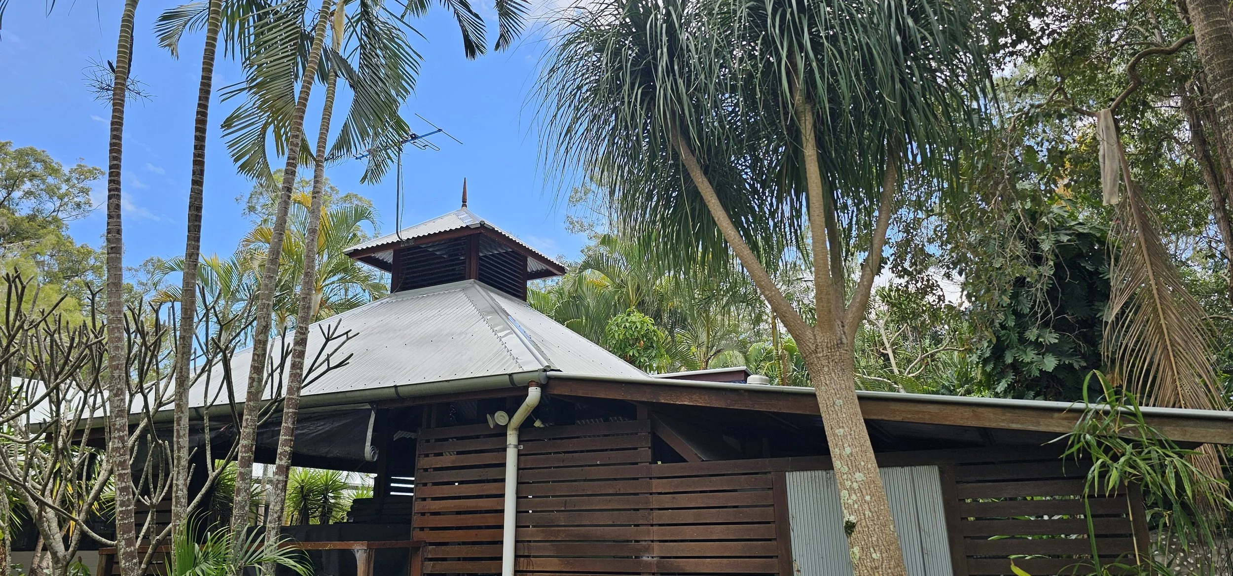 A house with a metal roof surrounded by tropical trees and plants, including palm trees in a lush, green environment under a blue sky.