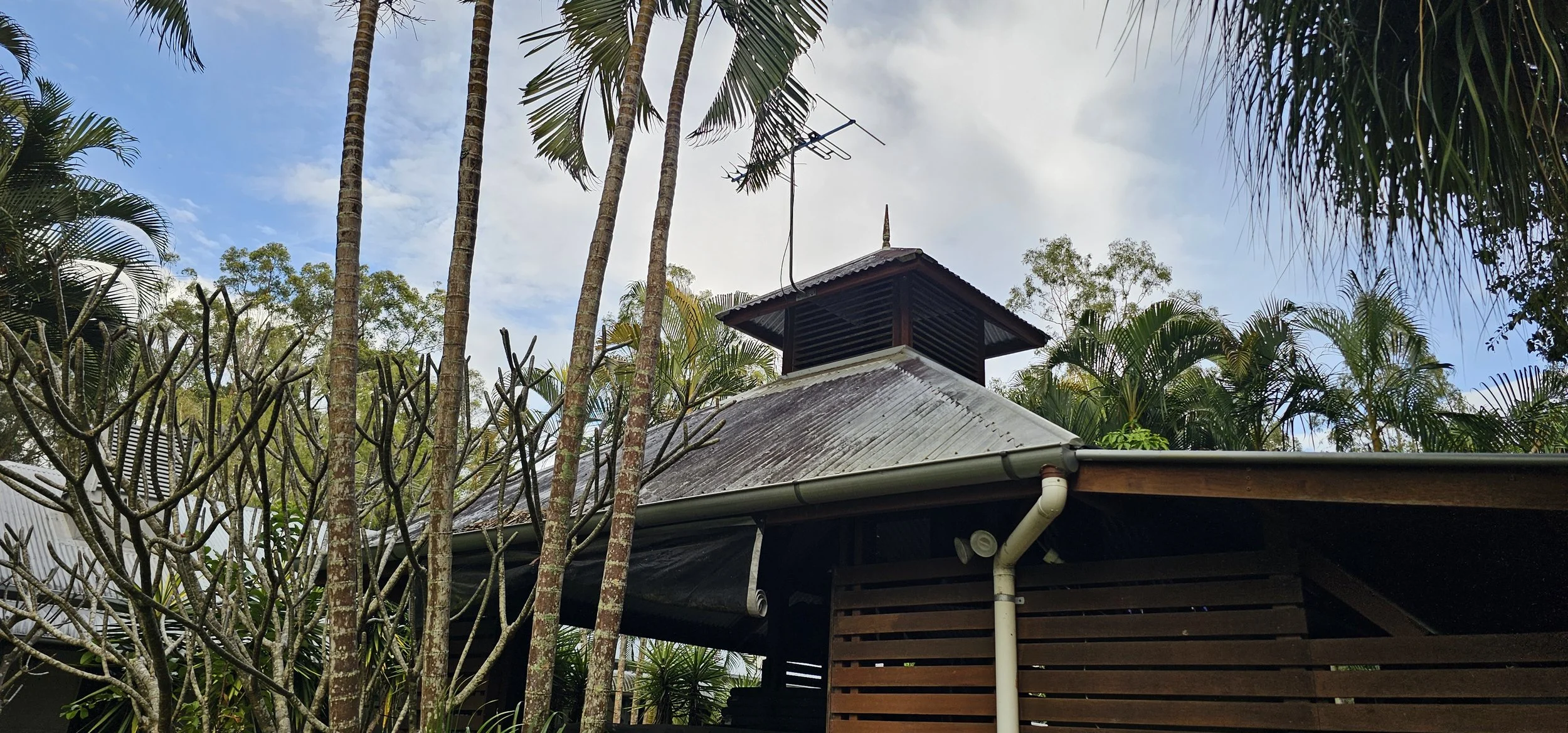 A house with a metal roof surrounded by tropical trees and plants, including tall palm trees, under a partly cloudy sky.