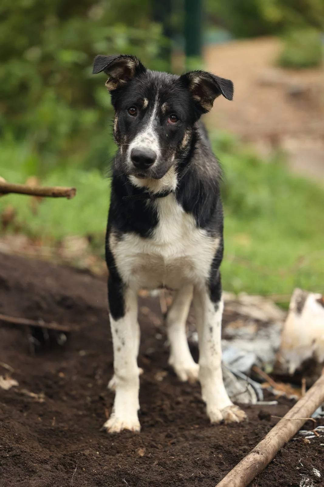 WhatsApp Image 2024-12-31 at 09.27.16.jpeg