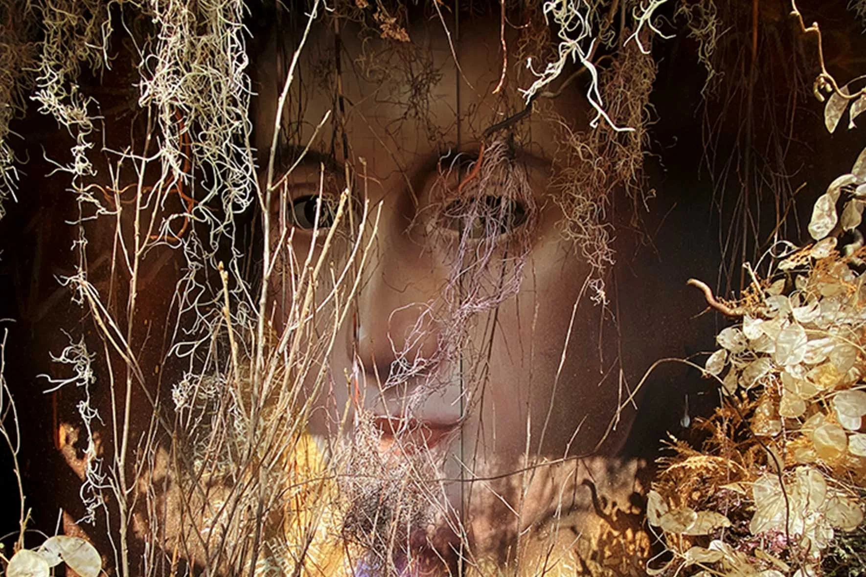 The Sonnets of Shakespeare