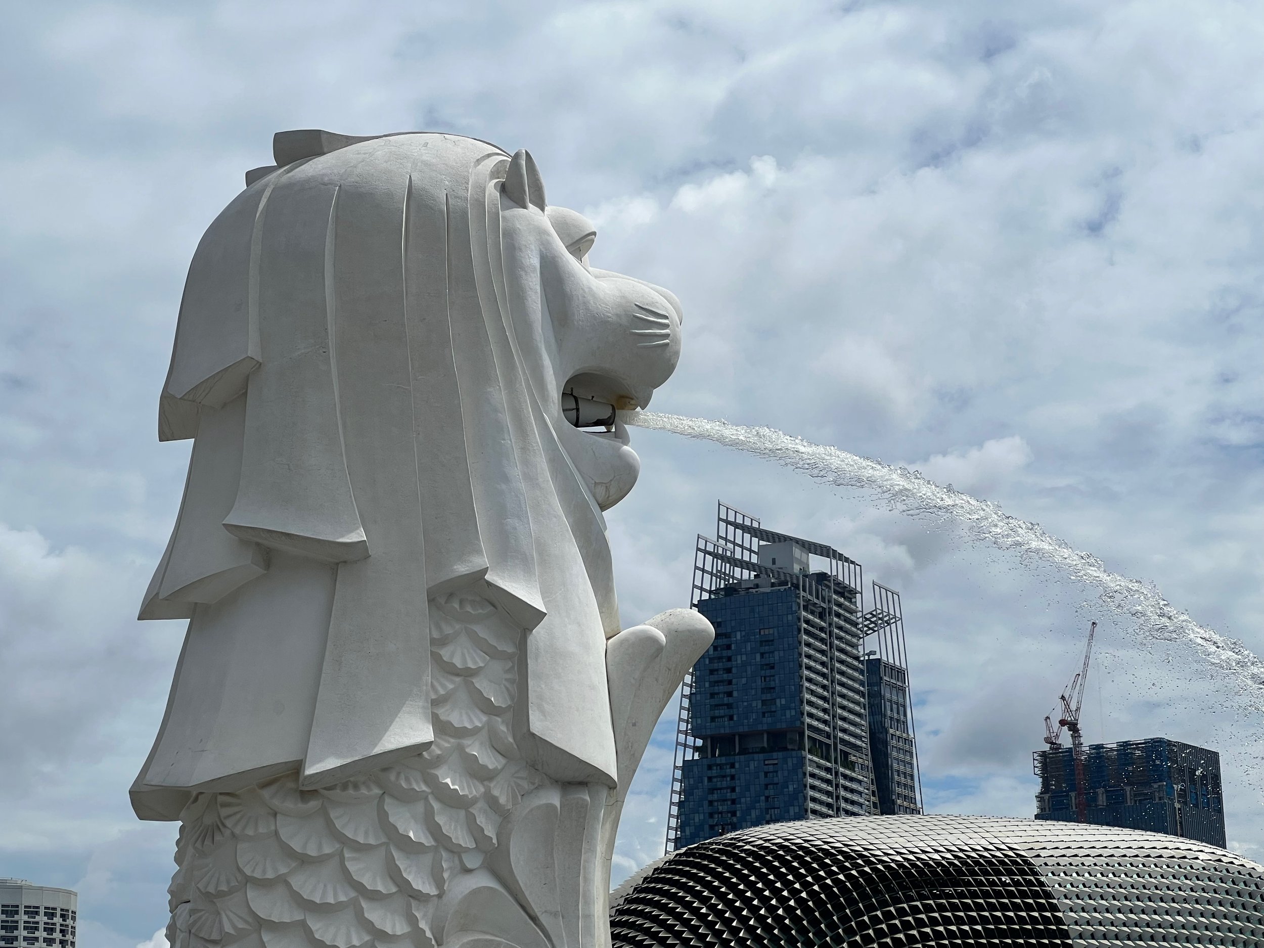 singapore - 13.jpeg