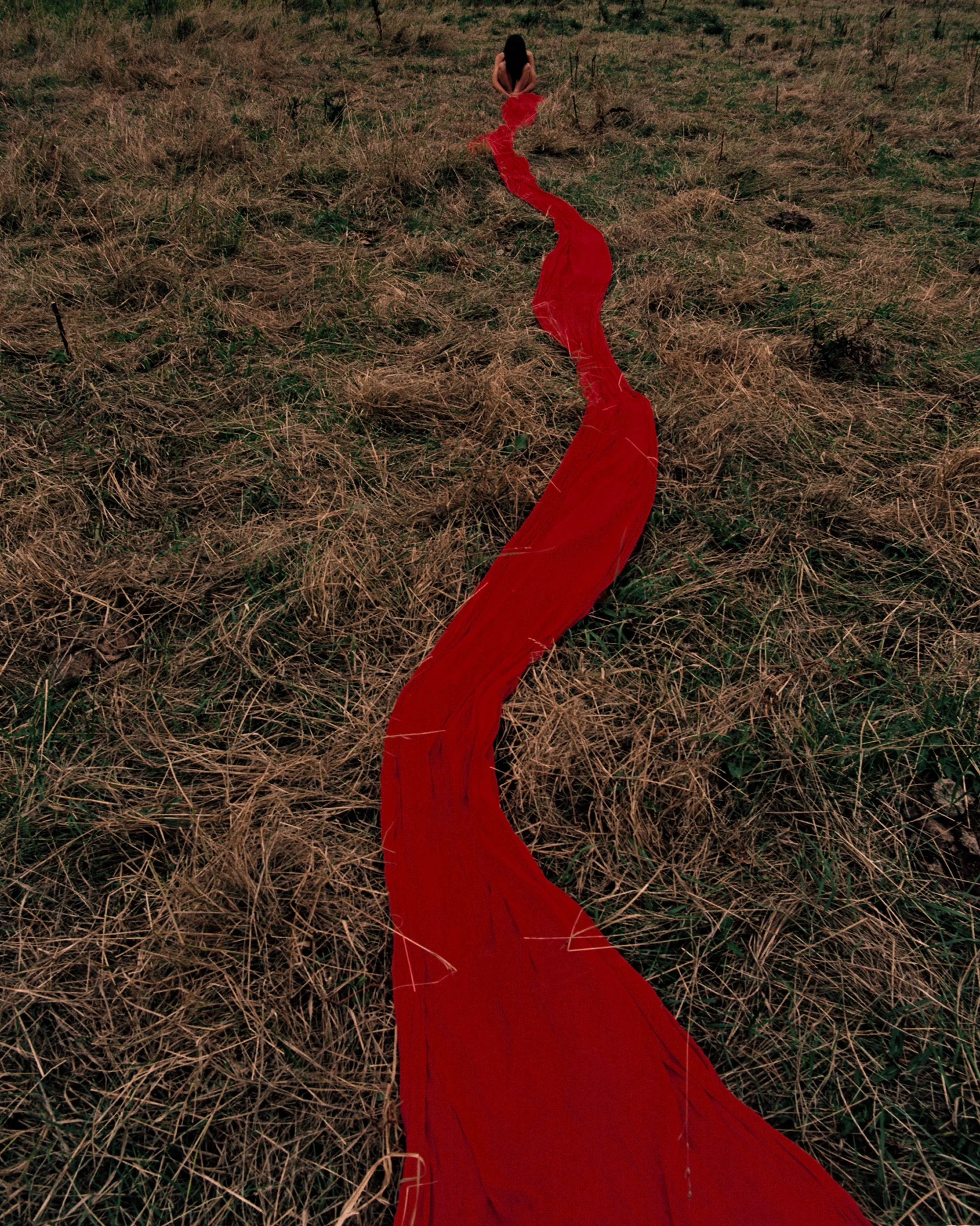 editorial concept and design / women who don't have periods