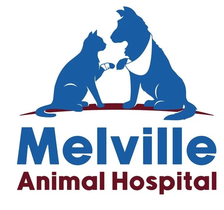 Melville Animal Hospital_LOGO.jpg