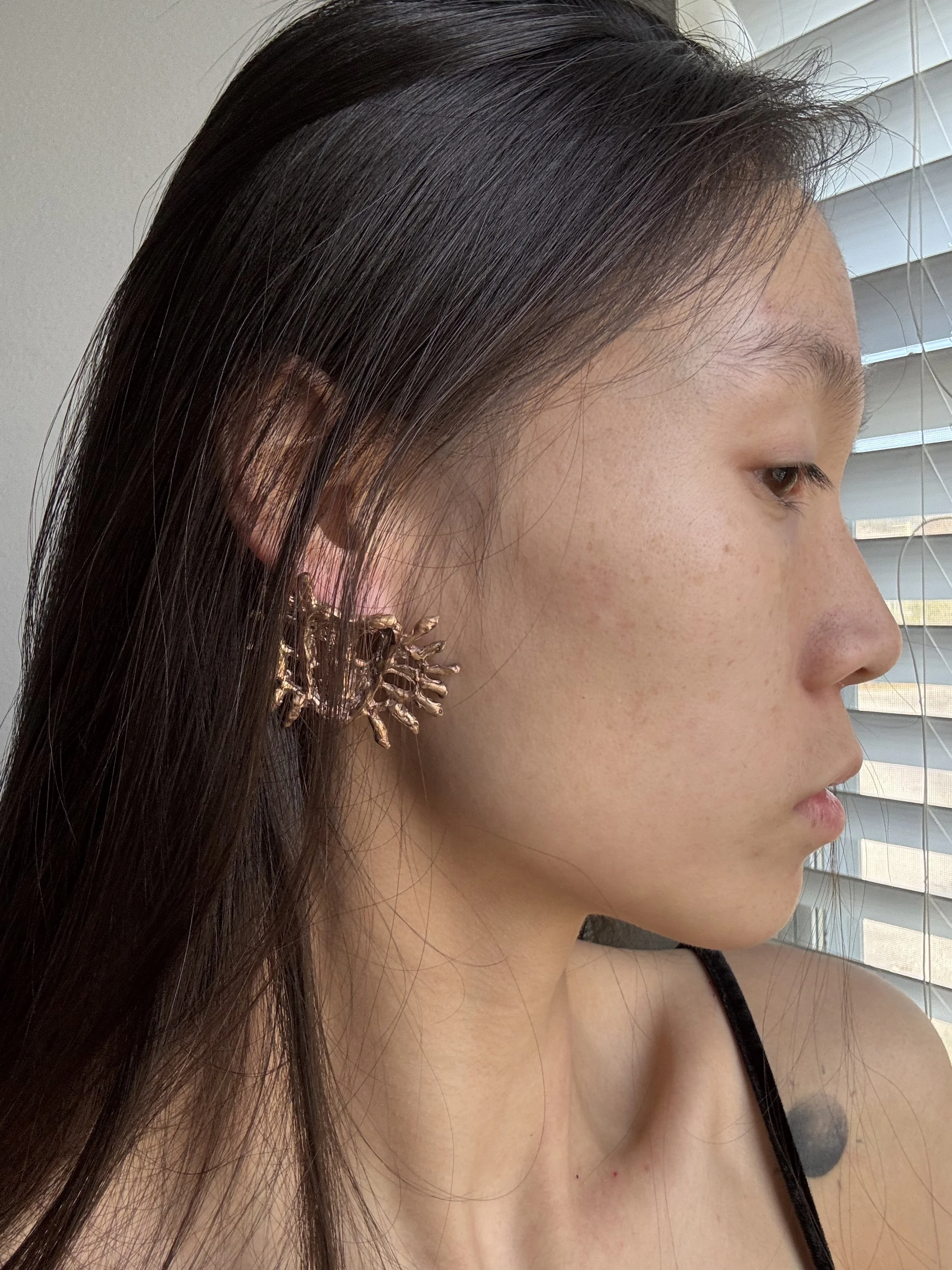 Weixin Image_20260313142802.jpg