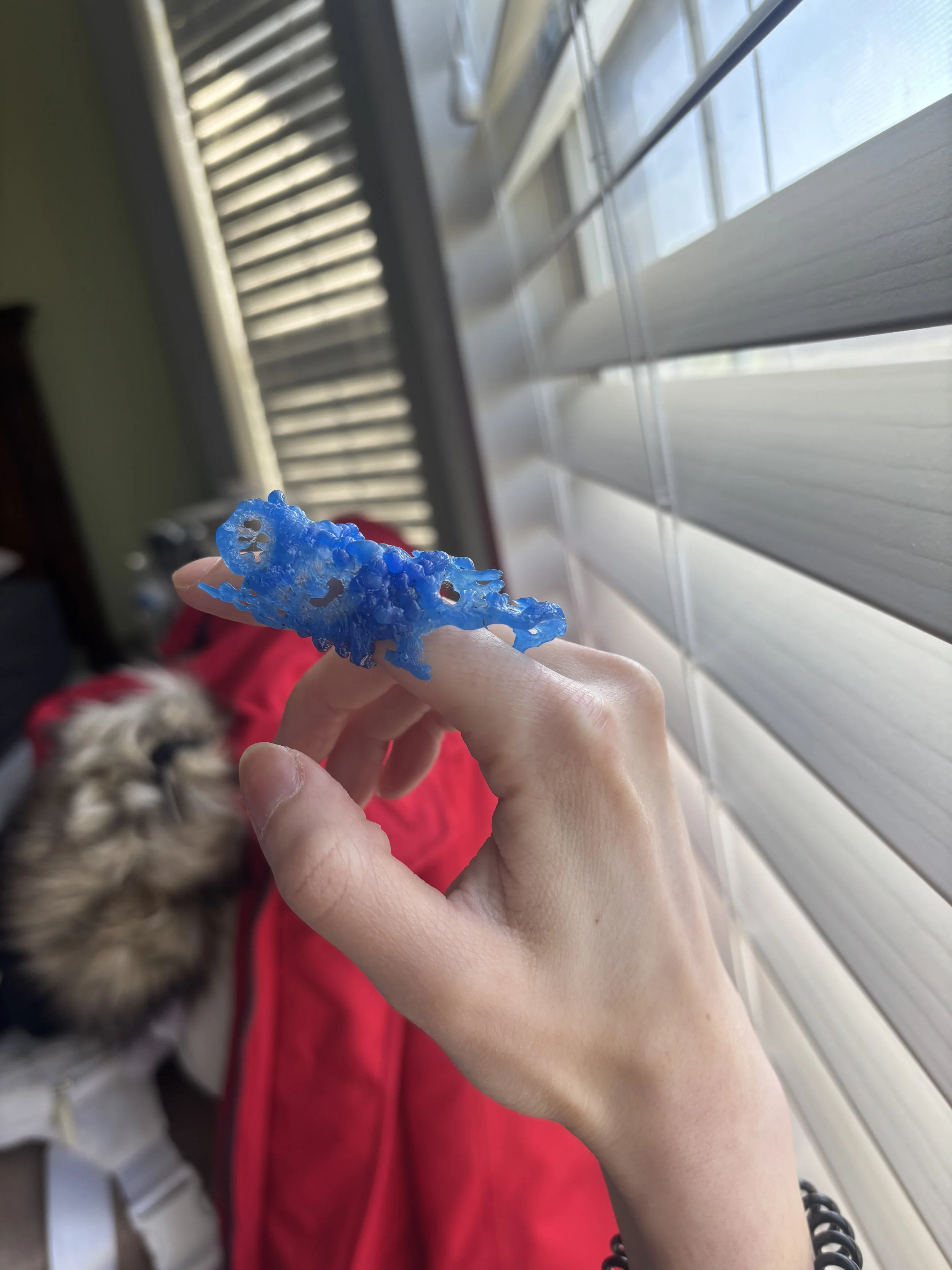 Weixin Image_20260313142717.jpg