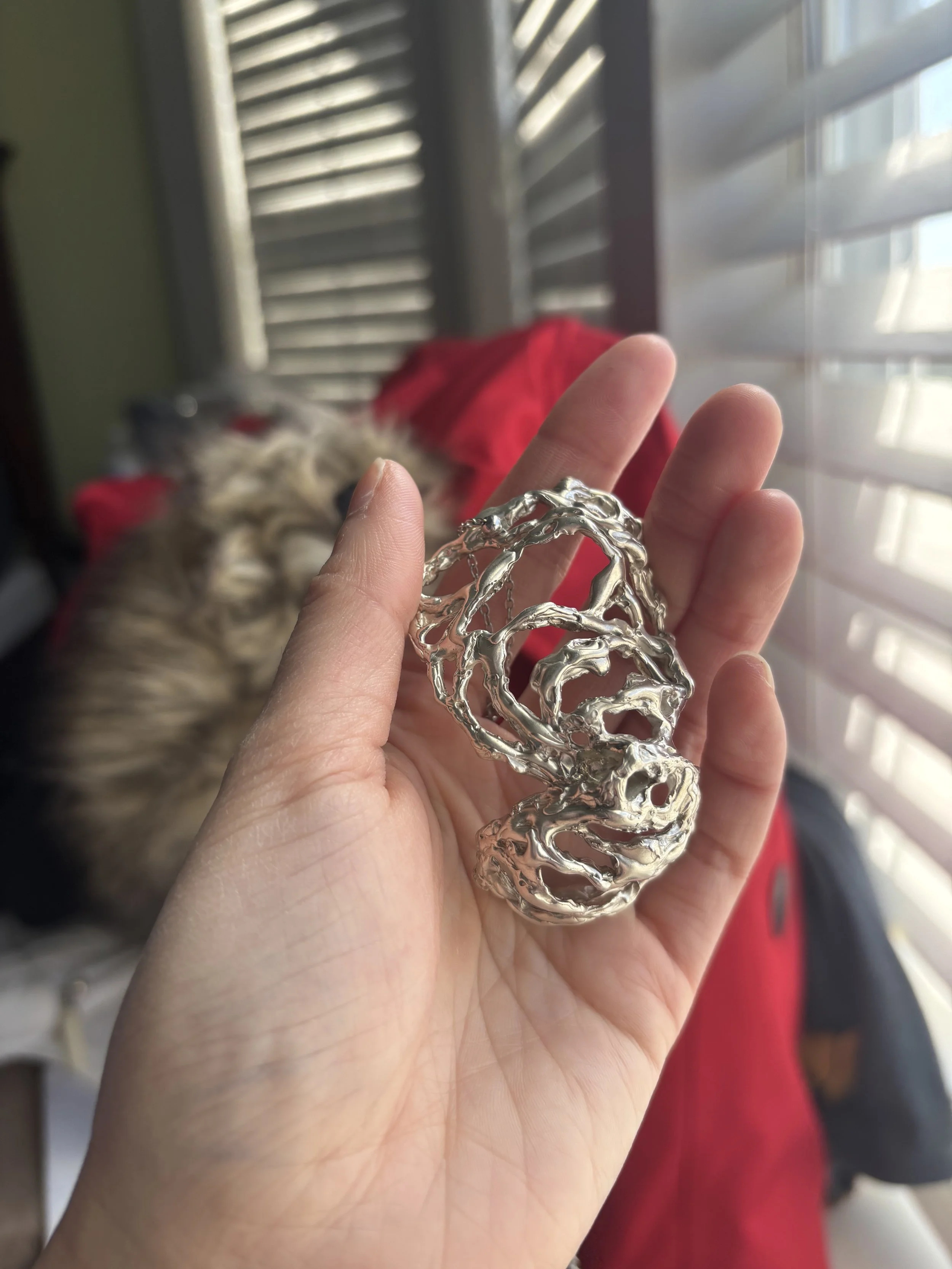 Weixin Image_20260313142848.jpg