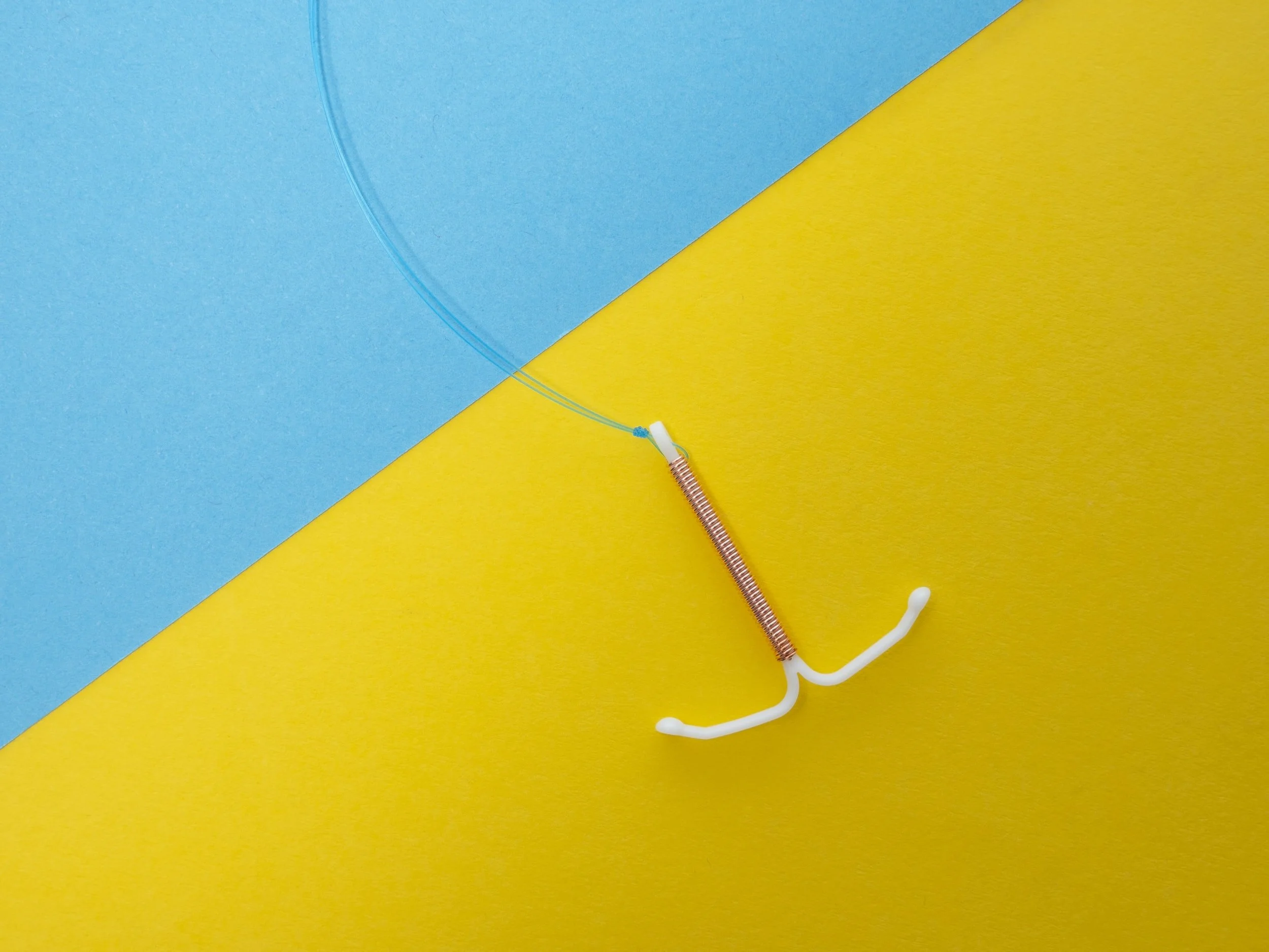 unsplash-image-Is-oKcKl7d0.jpg