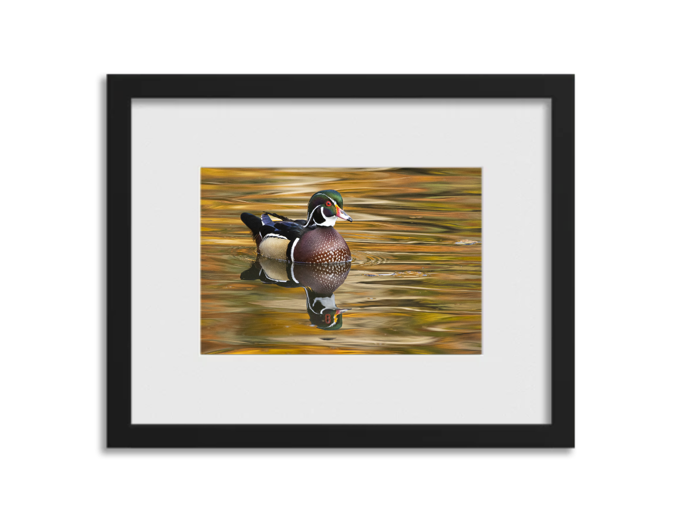 Screenshot 2026-03-04 at 3.33.04 PM.png