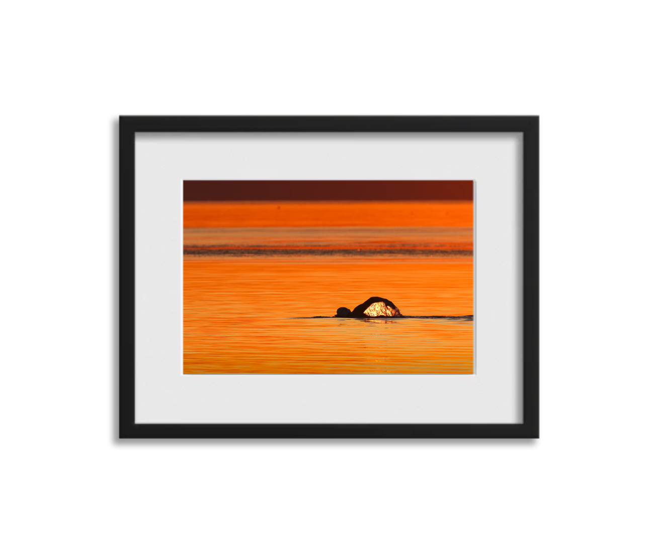 Screenshot 2026-03-11 at 4.13.07 PM.png