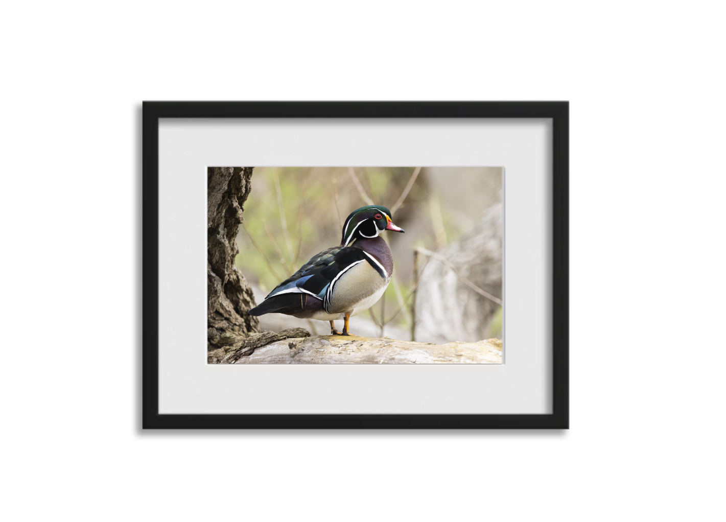 Screenshot 2026-03-11 at 3.53.57 PM.png