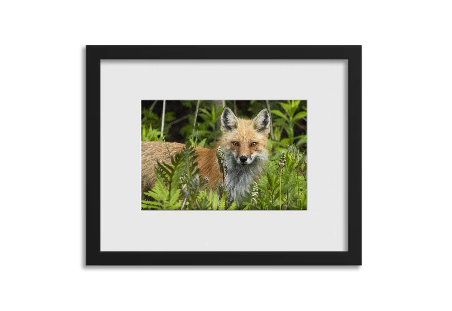 Screenshot 2026-03-04 at 3.31.49 PM.png