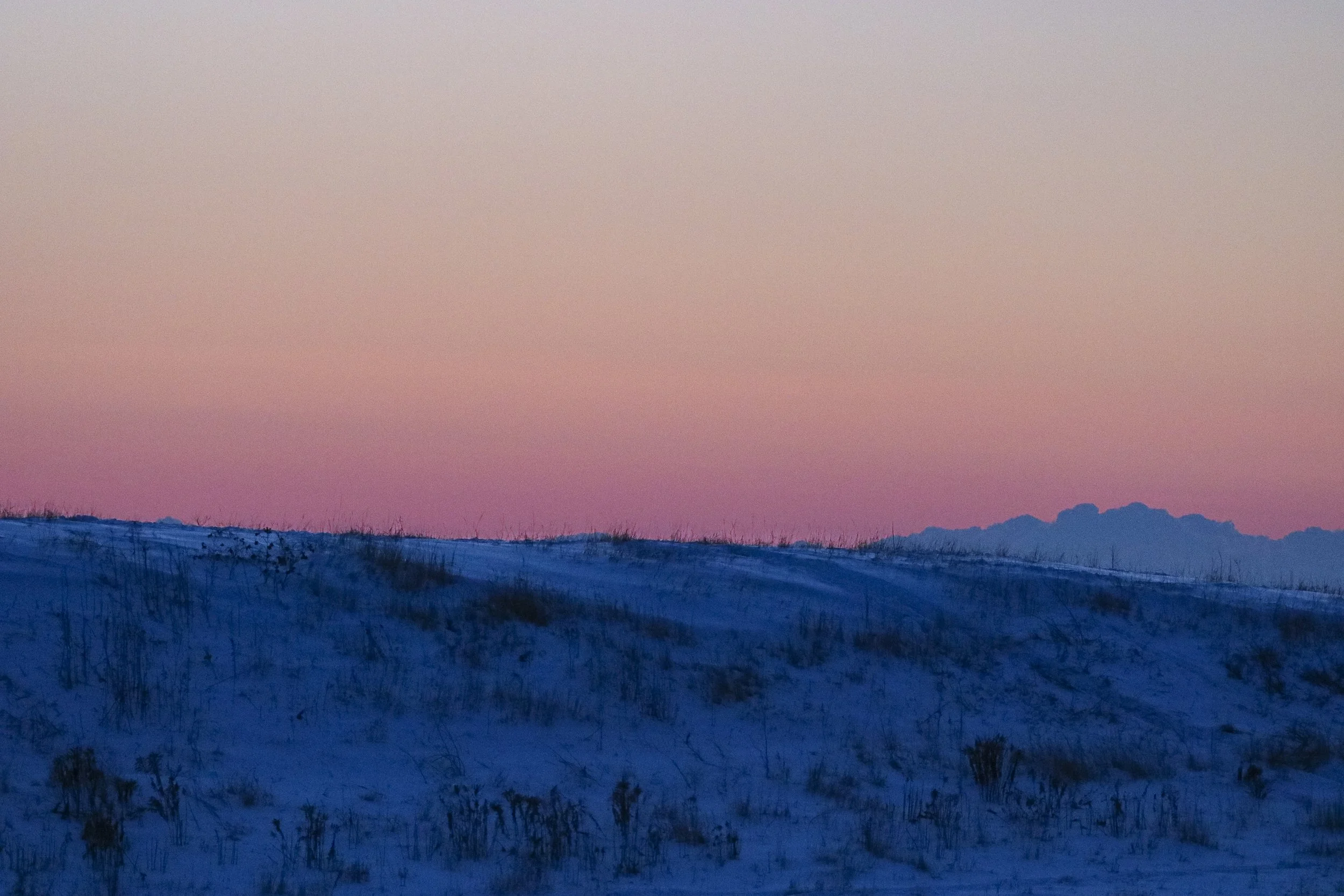 Winter morning at Downsview Park.