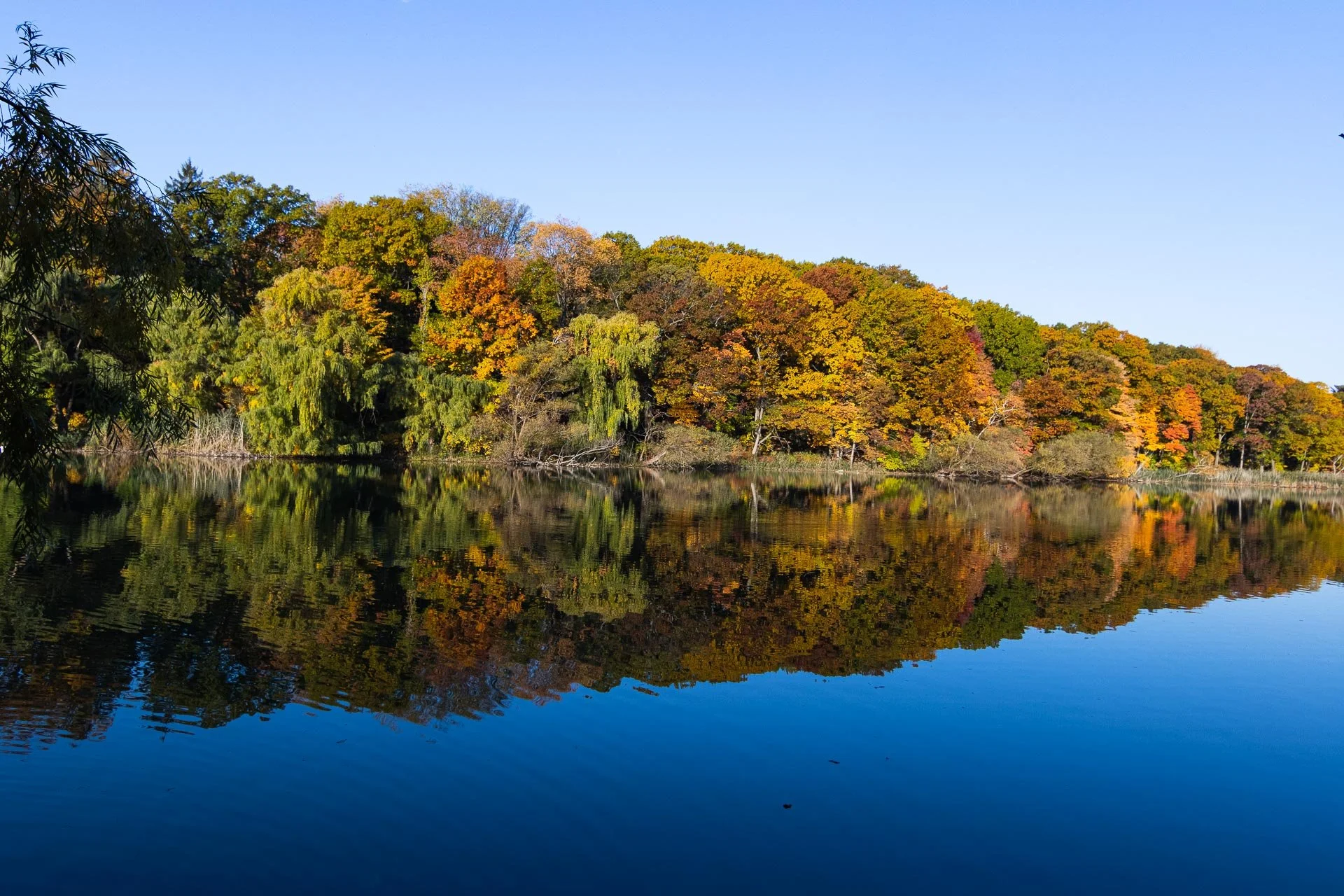 Autumn in High Park.