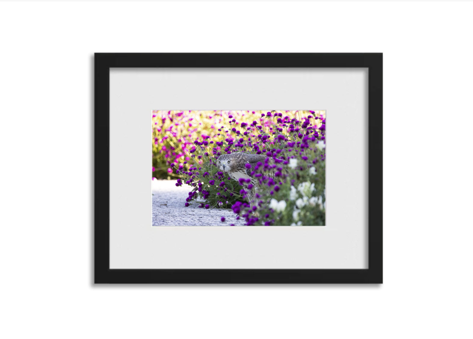 Screenshot 2026-03-04 at 3.41.00 PM.png