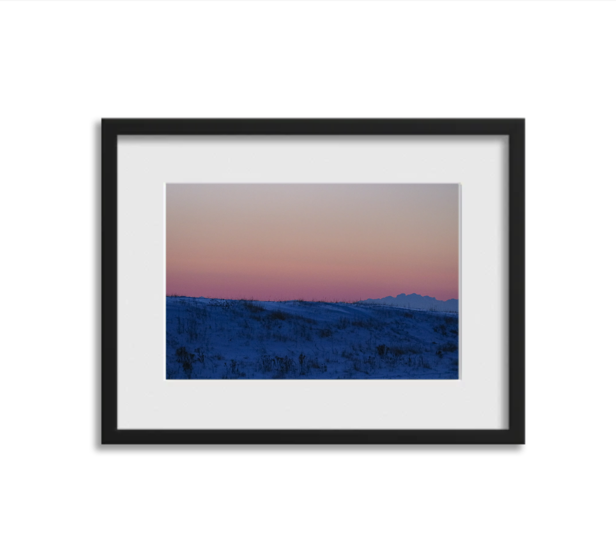 Screenshot 2026-03-11 at 4.19.25 PM.png (Copy)