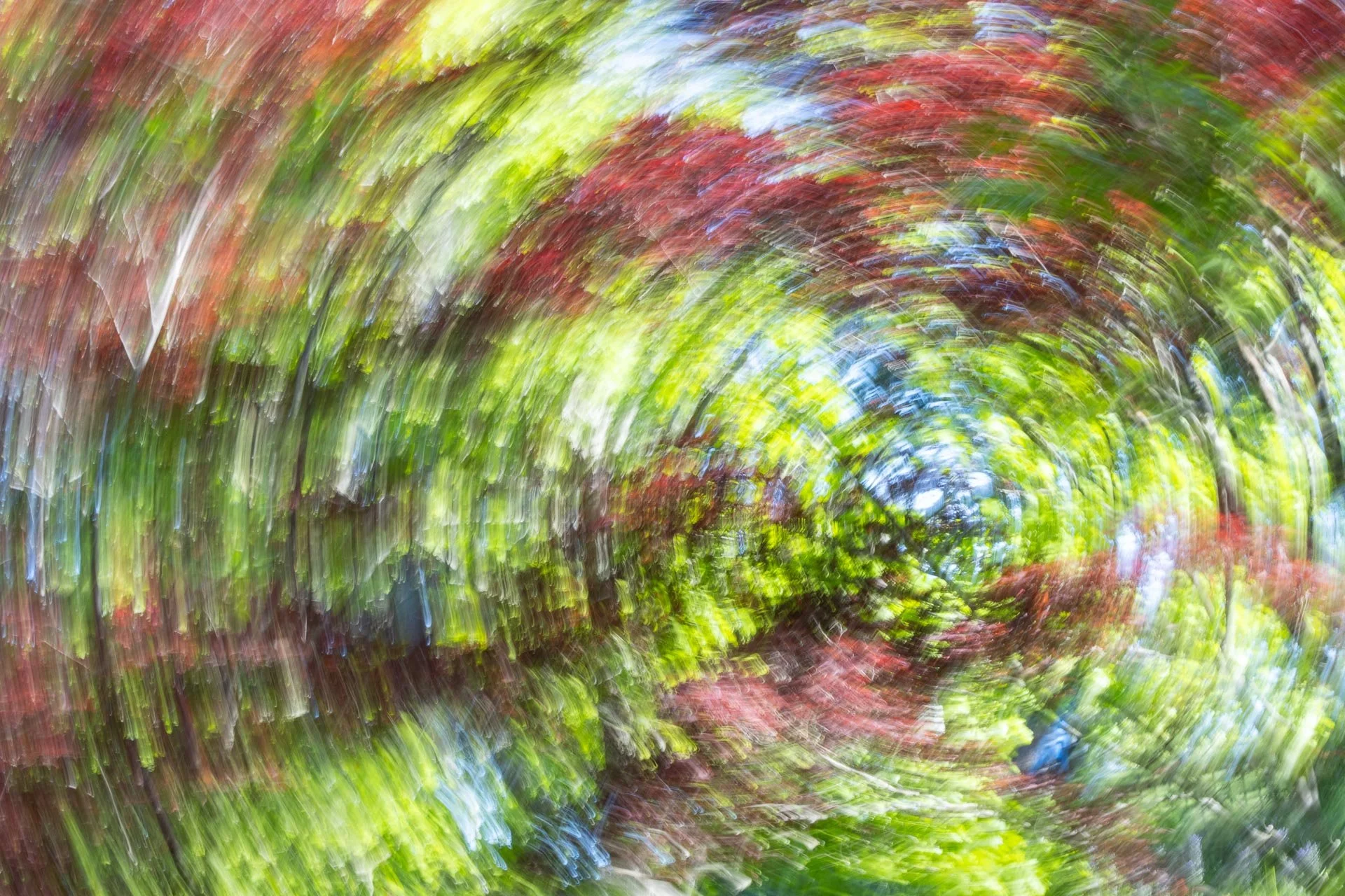 Intentional Camera Movement