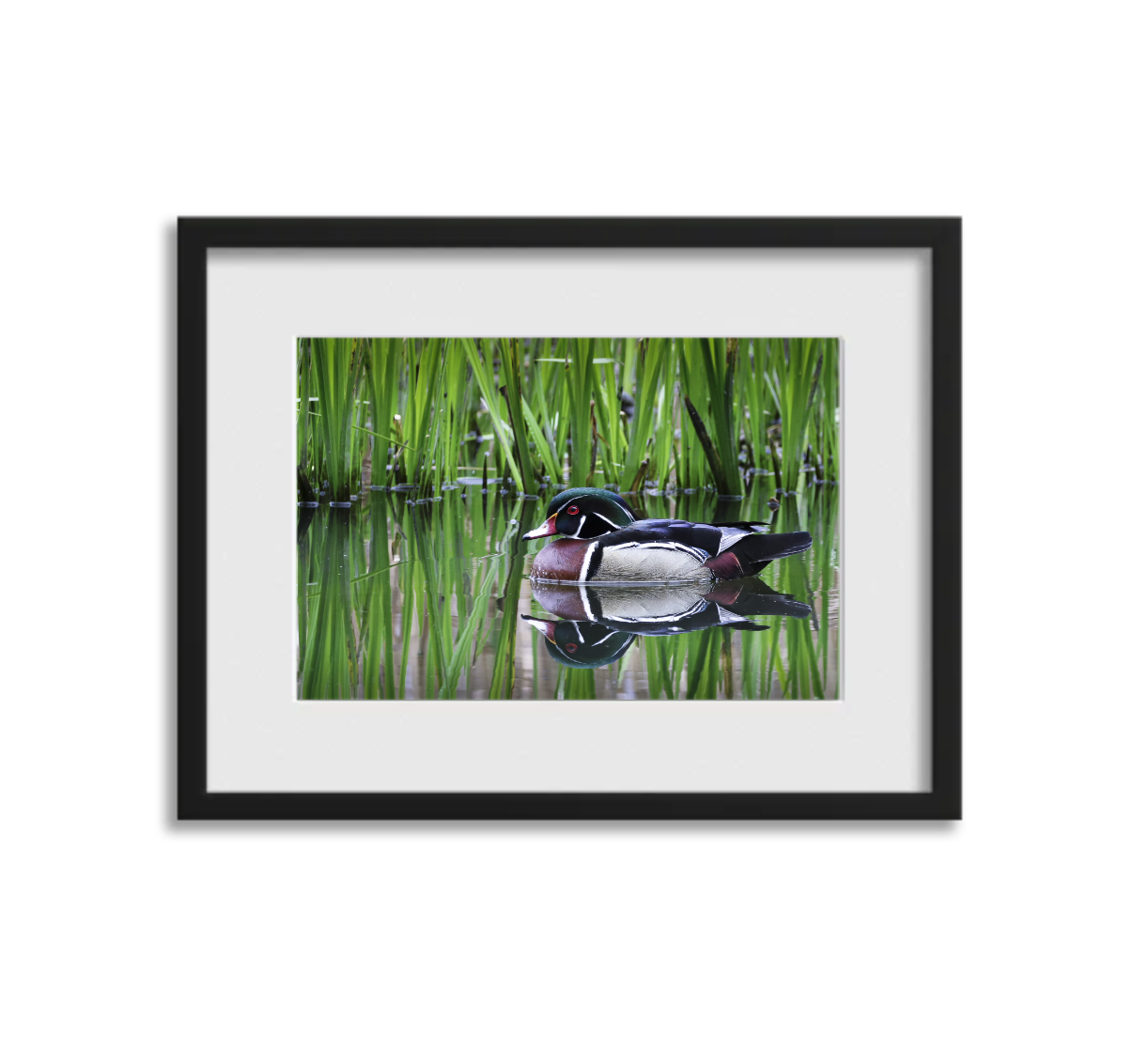 Screenshot 2026-03-11 at 8.49.44 PM.png