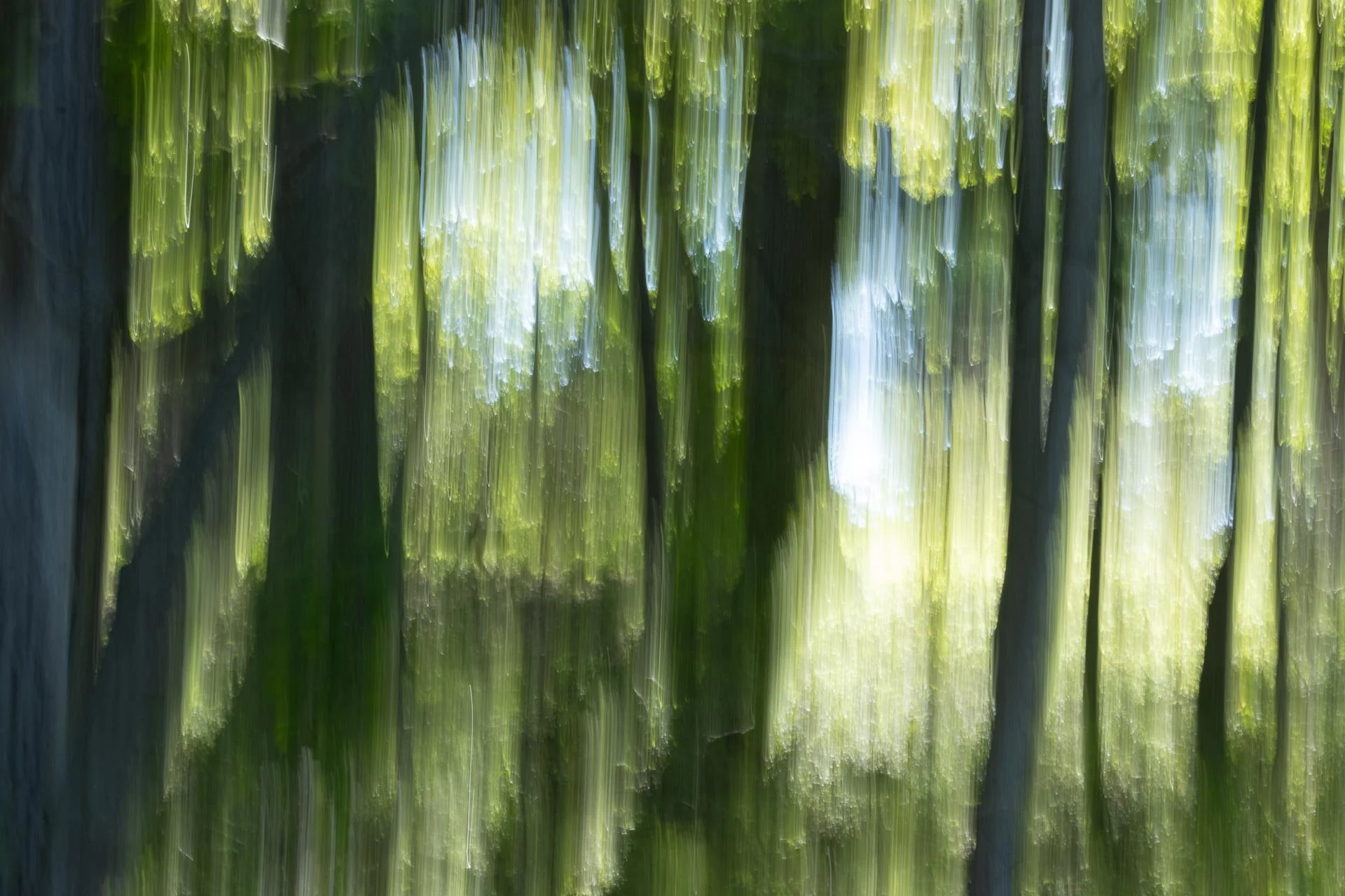 Intentional Camera Movement