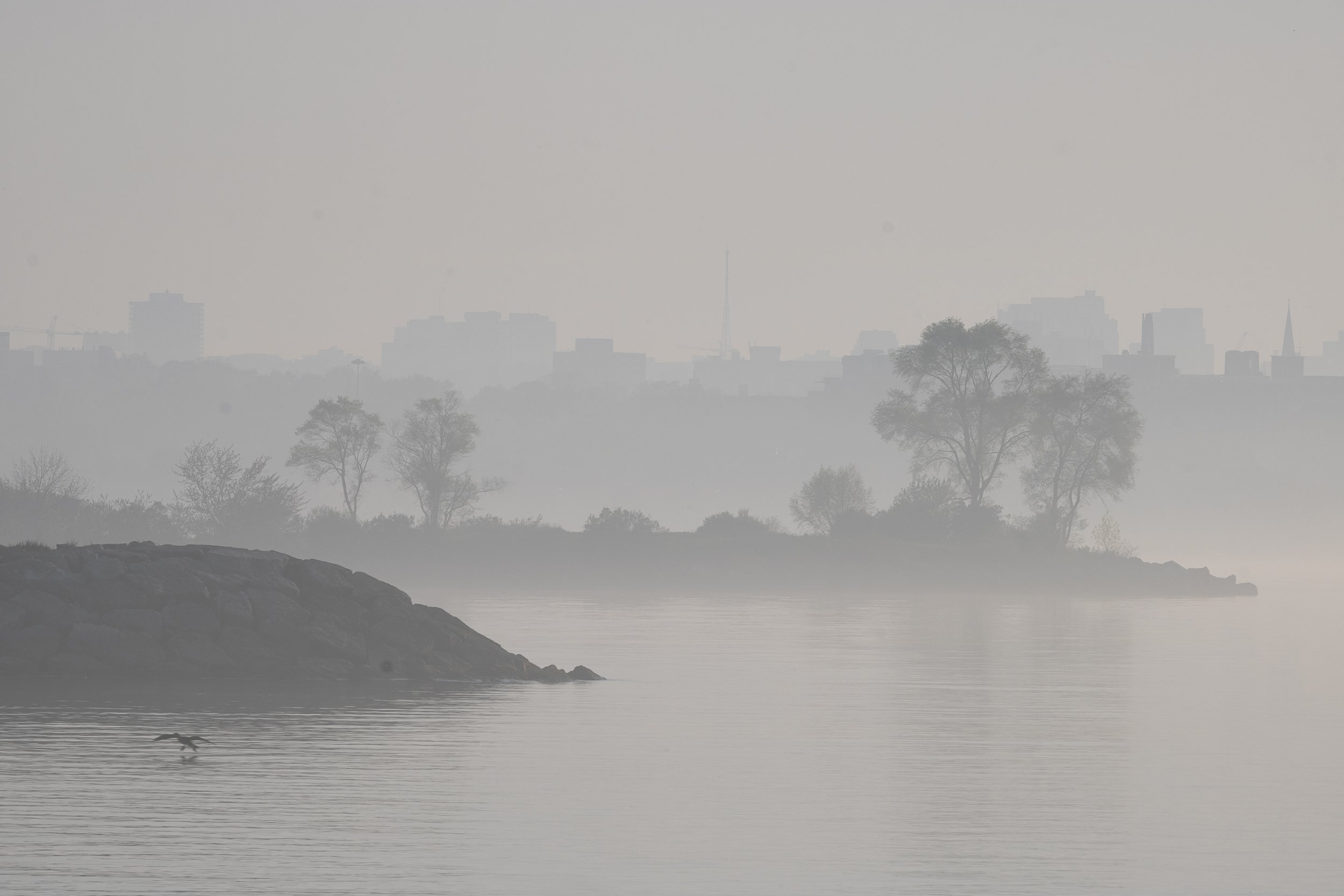 Lake Ontario Fog.