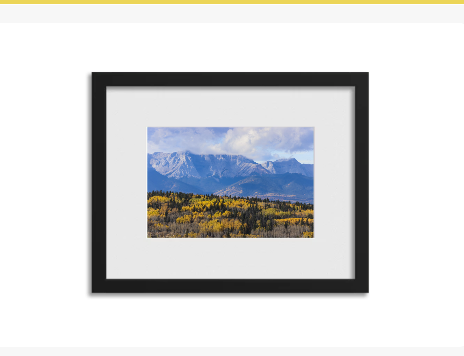 Screenshot 2026-03-04 at 1.57.27 PM.png