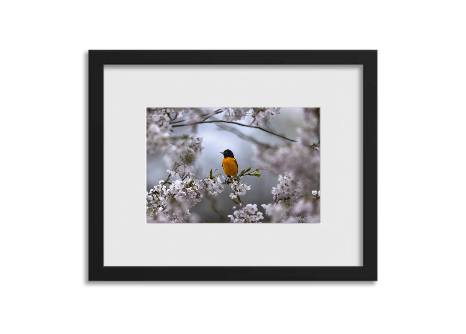 Screenshot 2026-03-04 at 3.29.37 PM.png