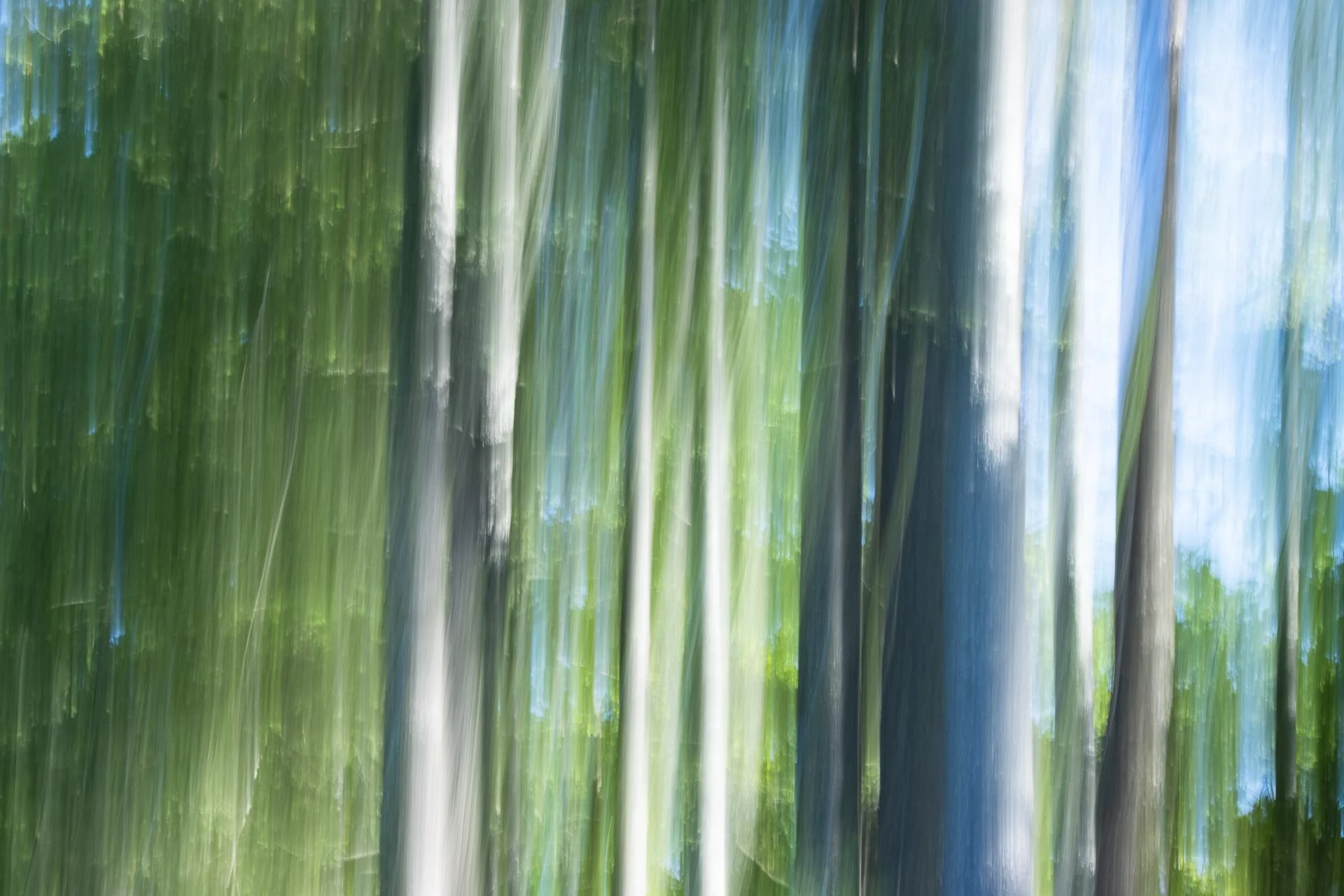 Intentional Camera Movement