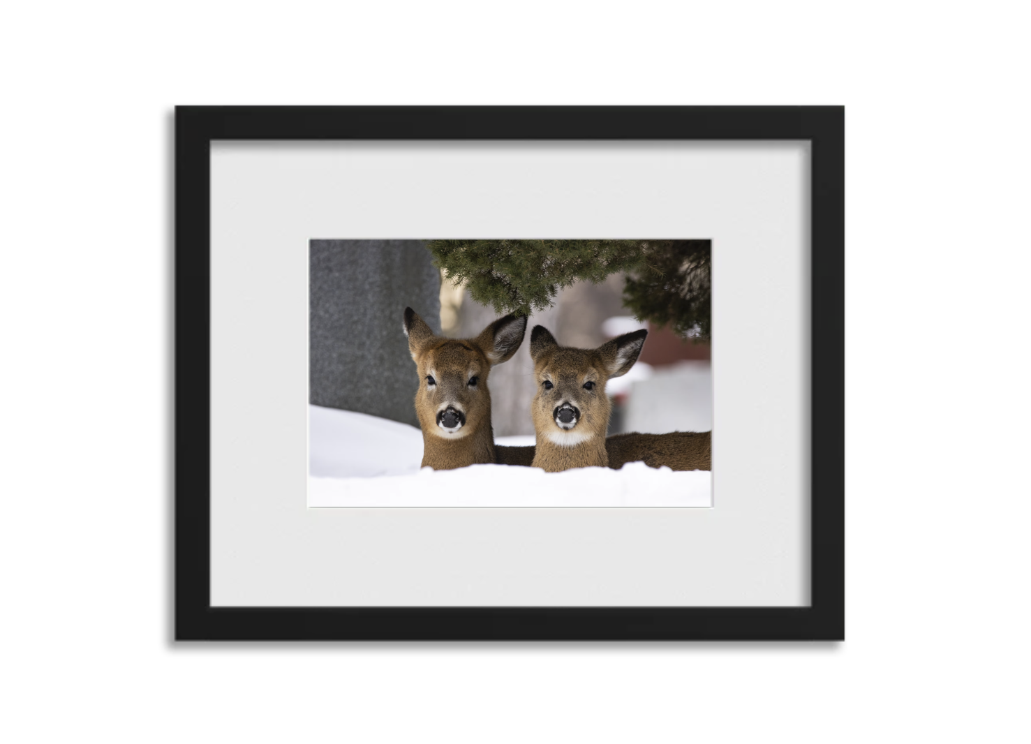 Screenshot 2026-03-04 at 3.42.03 PM.png