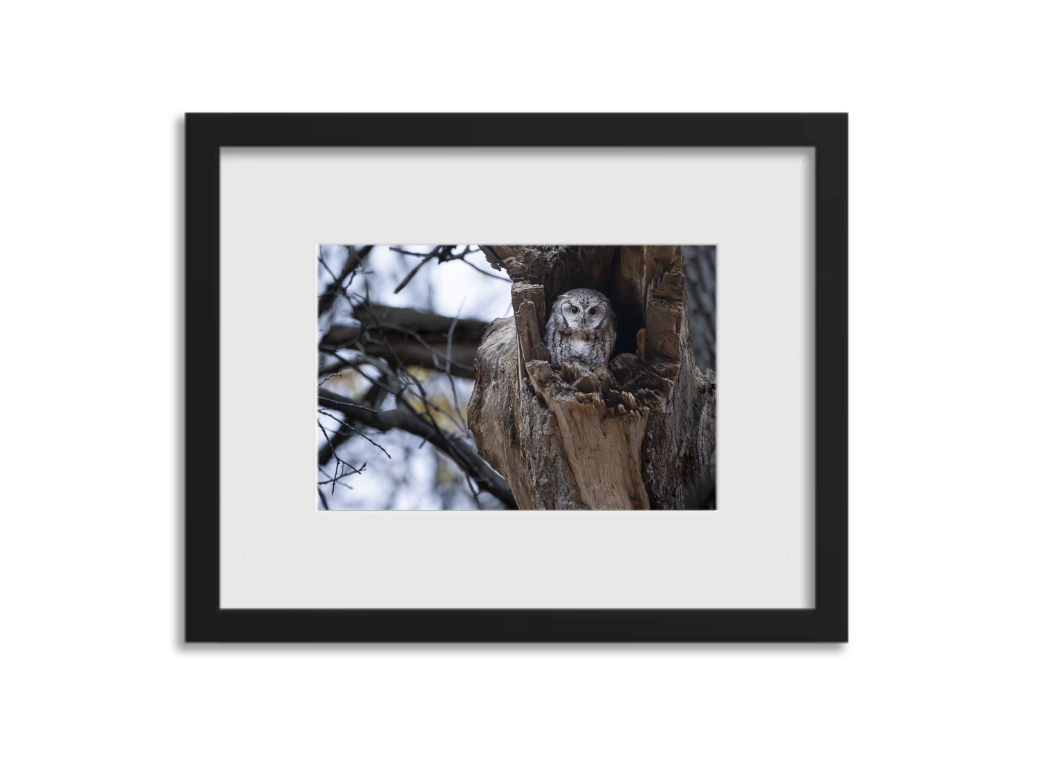 Screenshot 2026-03-04 at 3.39.42 PM.png