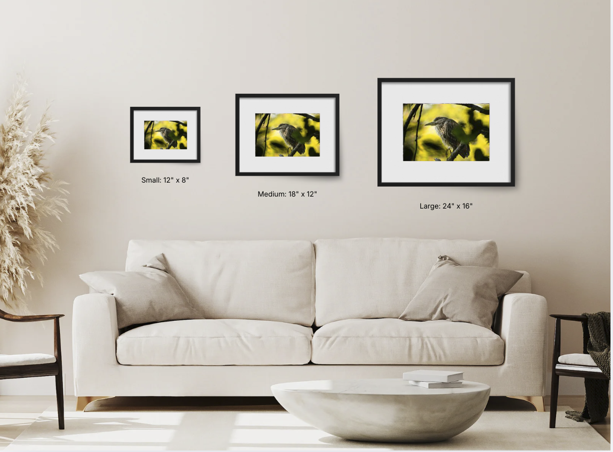 Screenshot 2026-03-12 at 12.14.17 PM.png