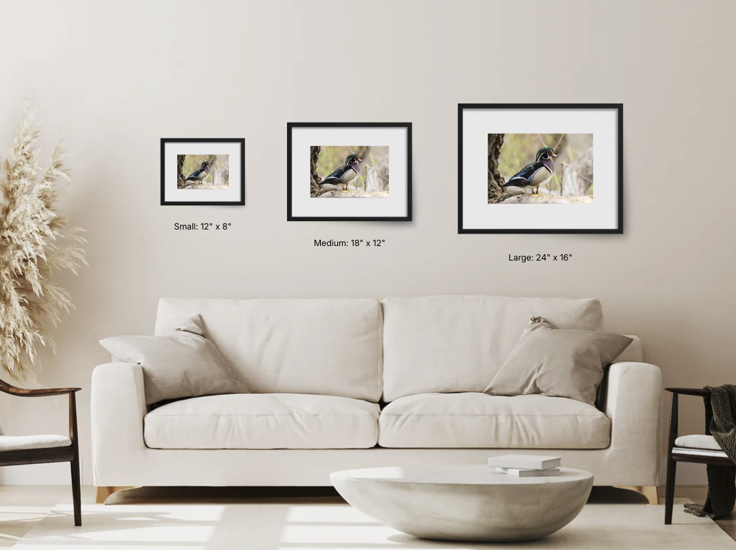 Screenshot 2026-03-12 at 12.57.12 PM.png