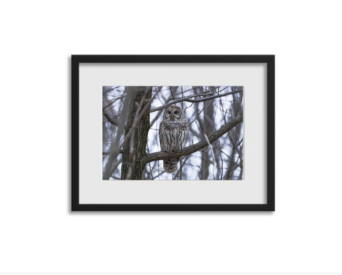 Screenshot 2026-03-11 at 8.37.42 PM.png