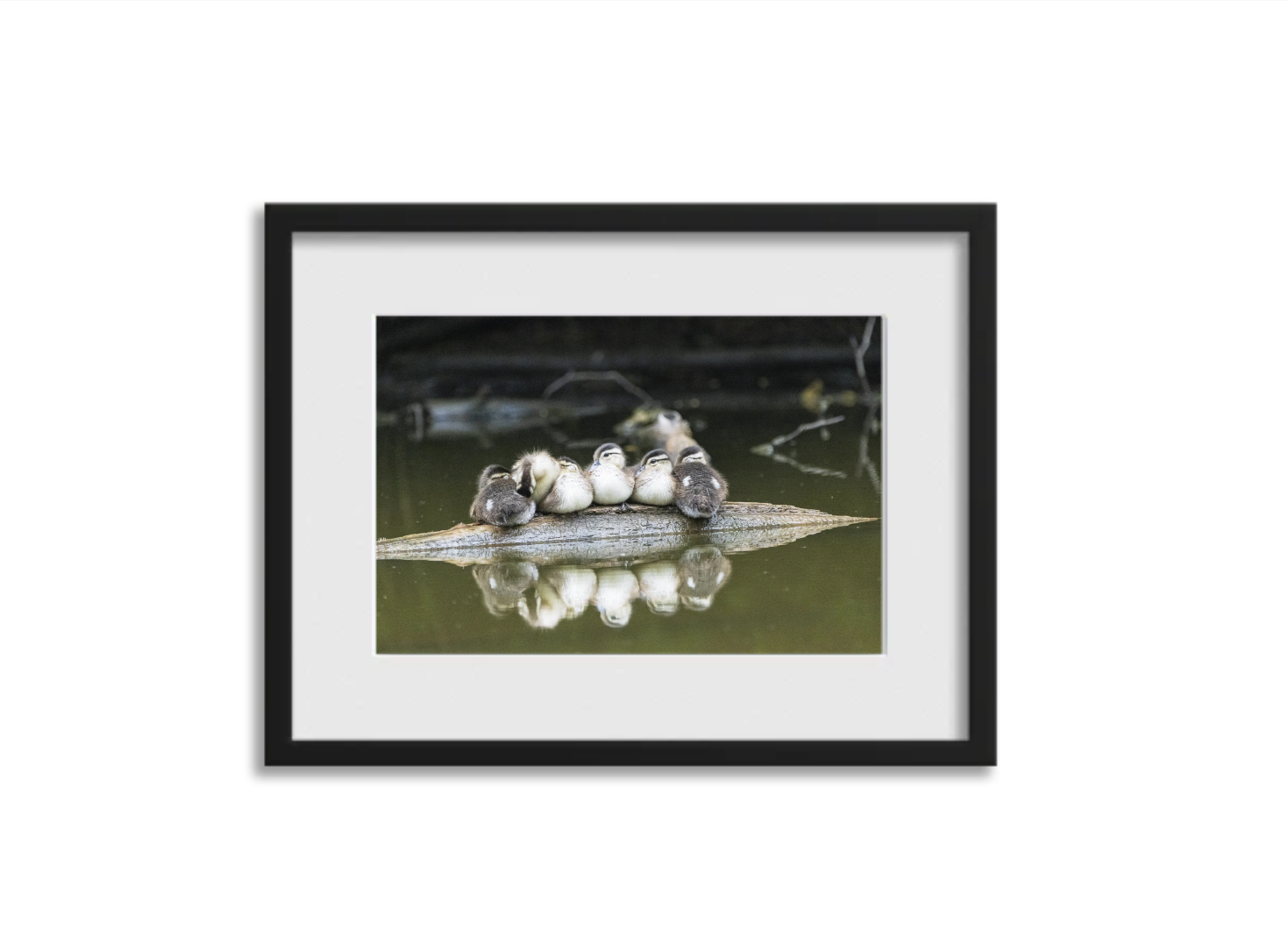 Screenshot 2026-03-11 at 3.47.36 PM.png