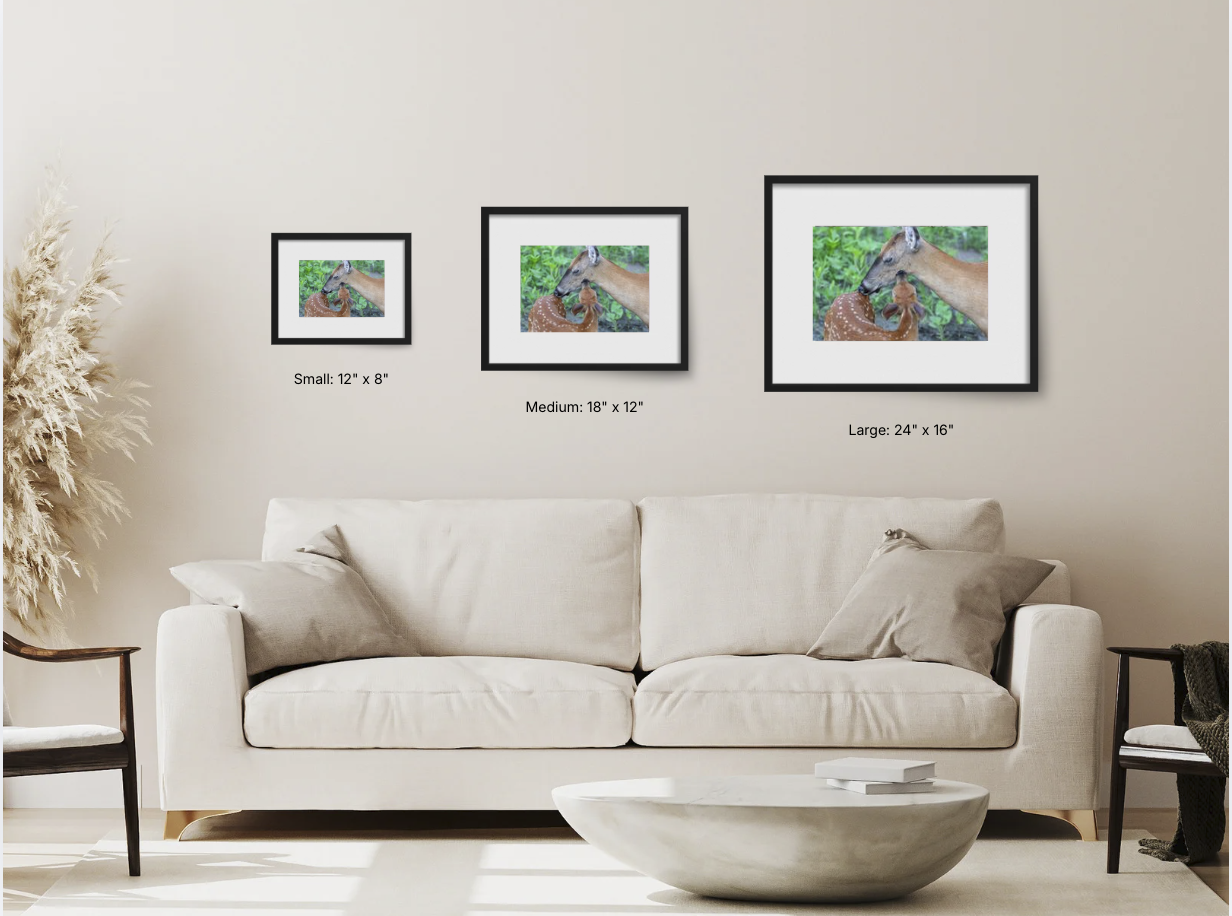 Screenshot 2026-03-12 at 12.37.07 PM.png