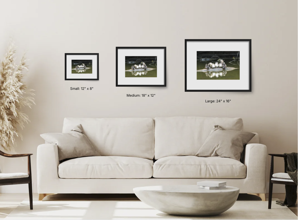 Screenshot 2026-03-12 at 1.29.07 PM.png