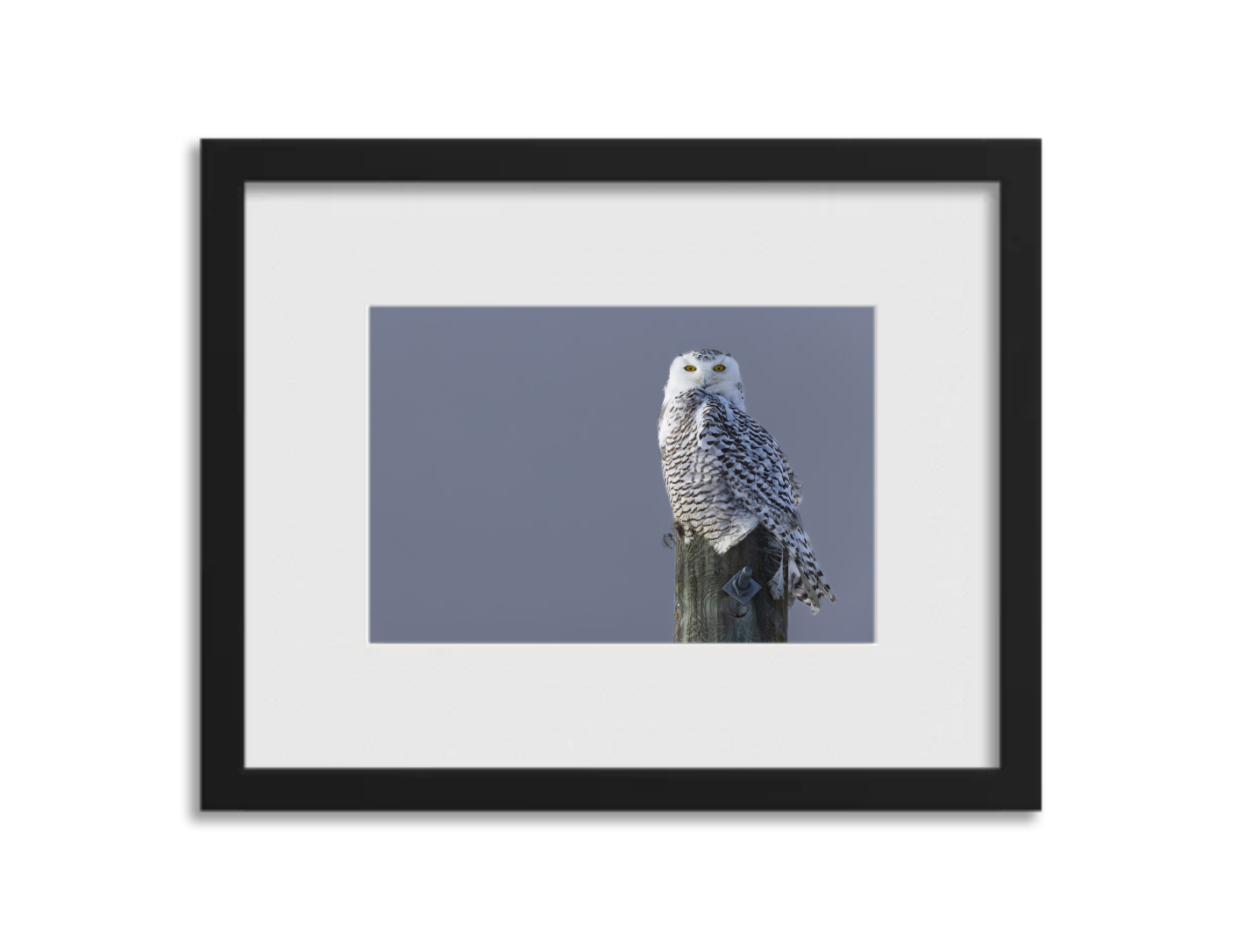 Screenshot 2026-03-04 at 3.38.41 PM.png