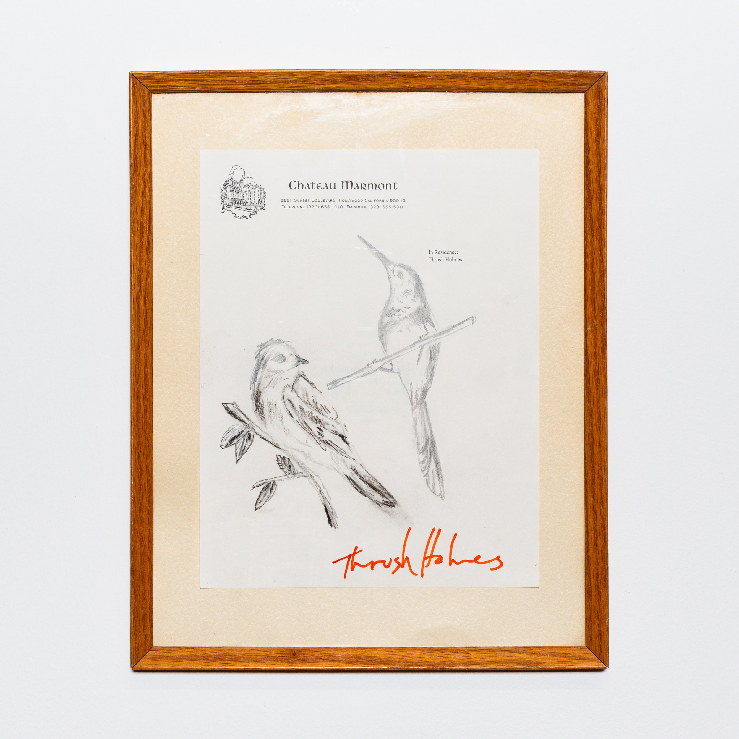 Framed art print with illustration of a bird perched on a branch, and the handwritten text 'Thrush Fishes' in orange at the bottom.