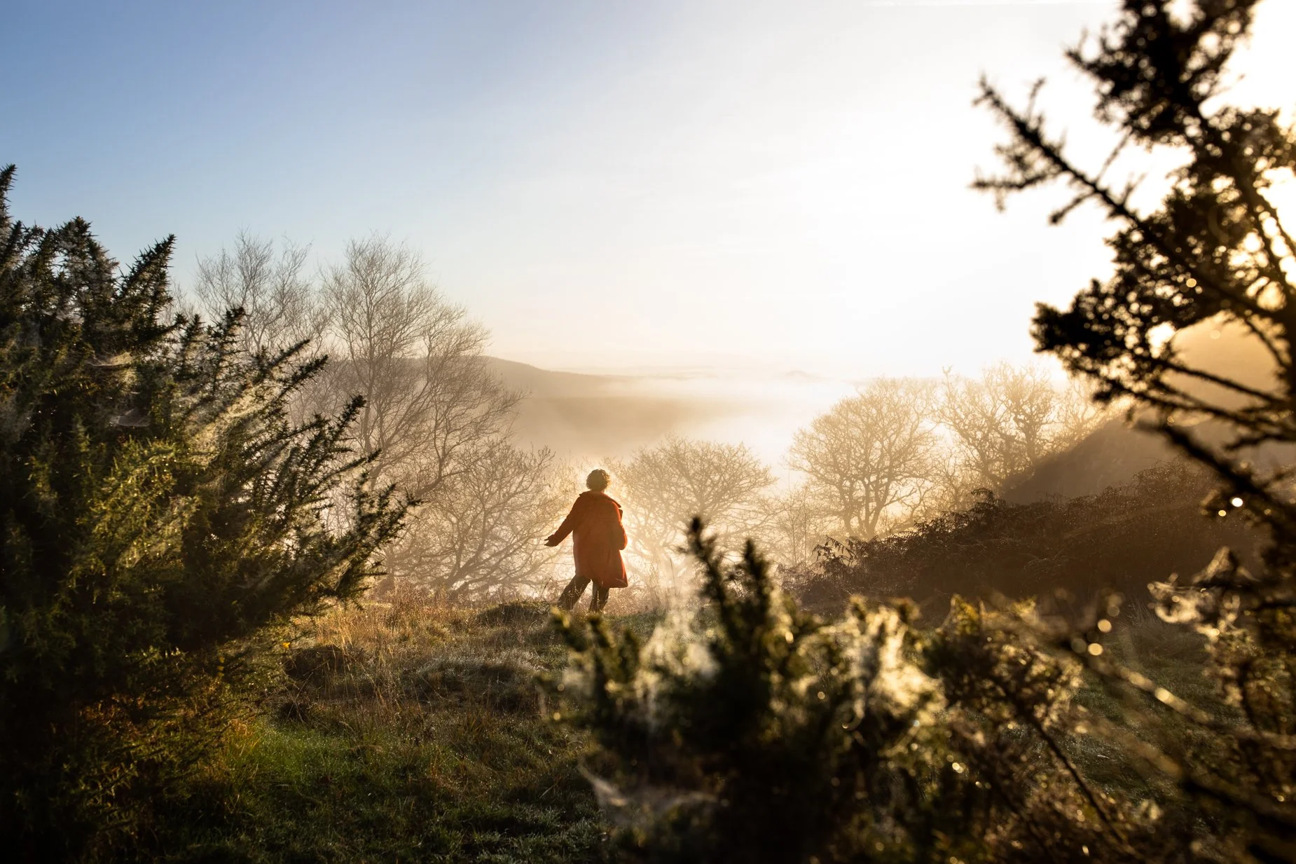 Nature Immersions - Coaching Retreats in Devon, UK, time in field, moor and coast. Stay in shepherds hut with access to natural swim pond and sauna