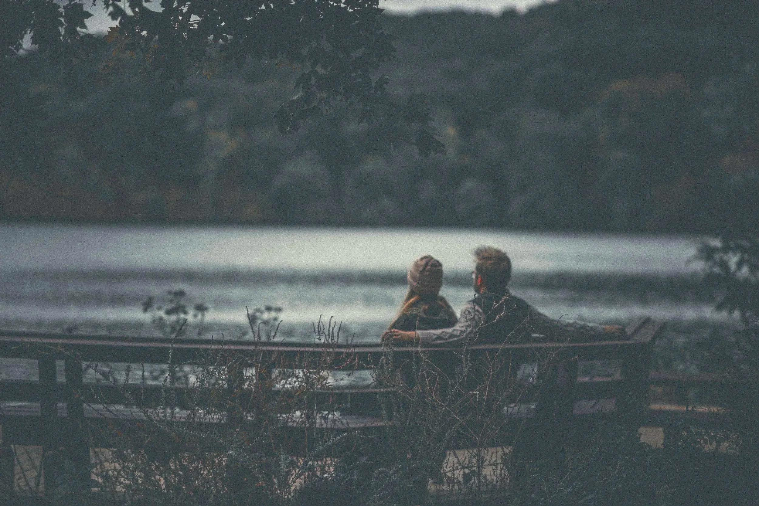 A heart-shaped patch of gray stone surrounded by green moss and plants.