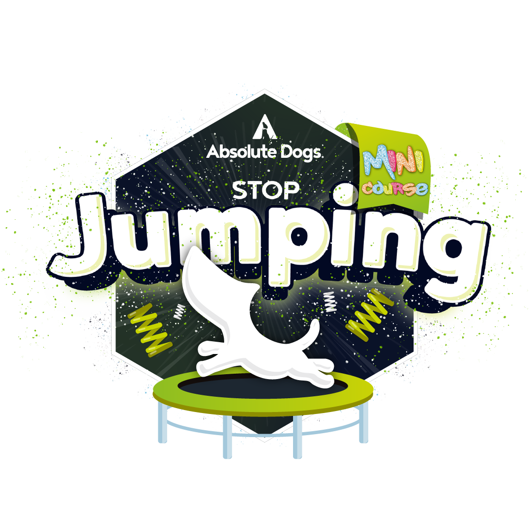 jwvgejzr-stopjumping-minicourse-badge-01-01.png