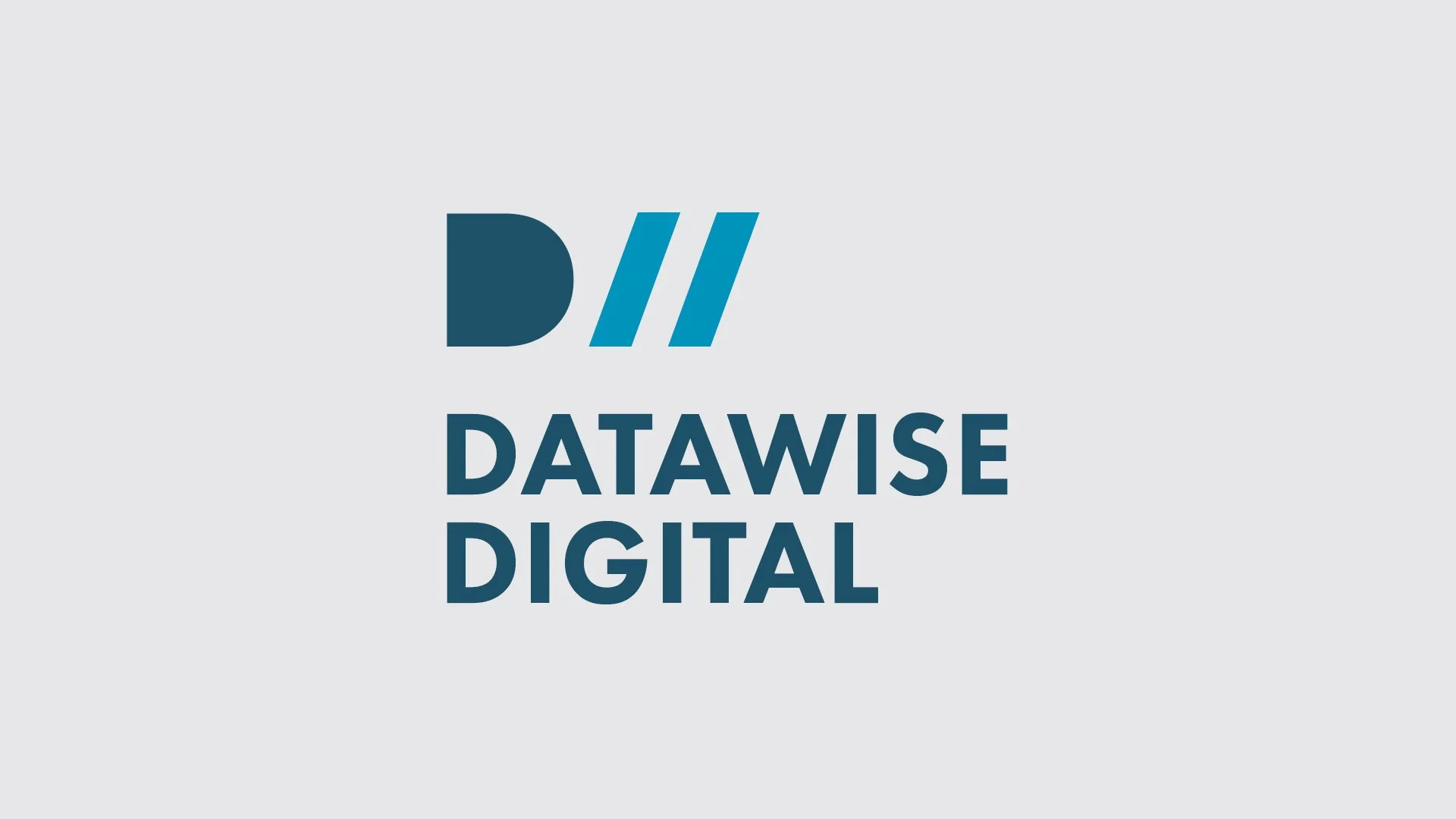 Datawise Digital branding.jpg