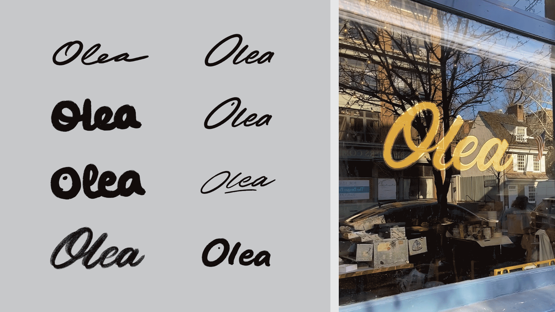 Olea logo sketches and final gold logo in window.gif