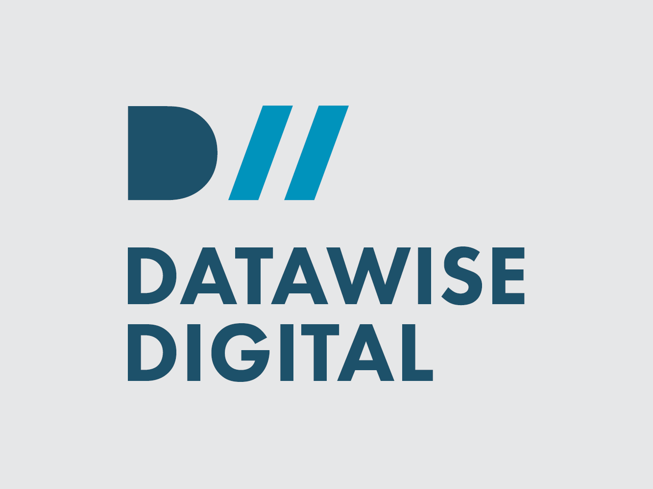 Datawise.png