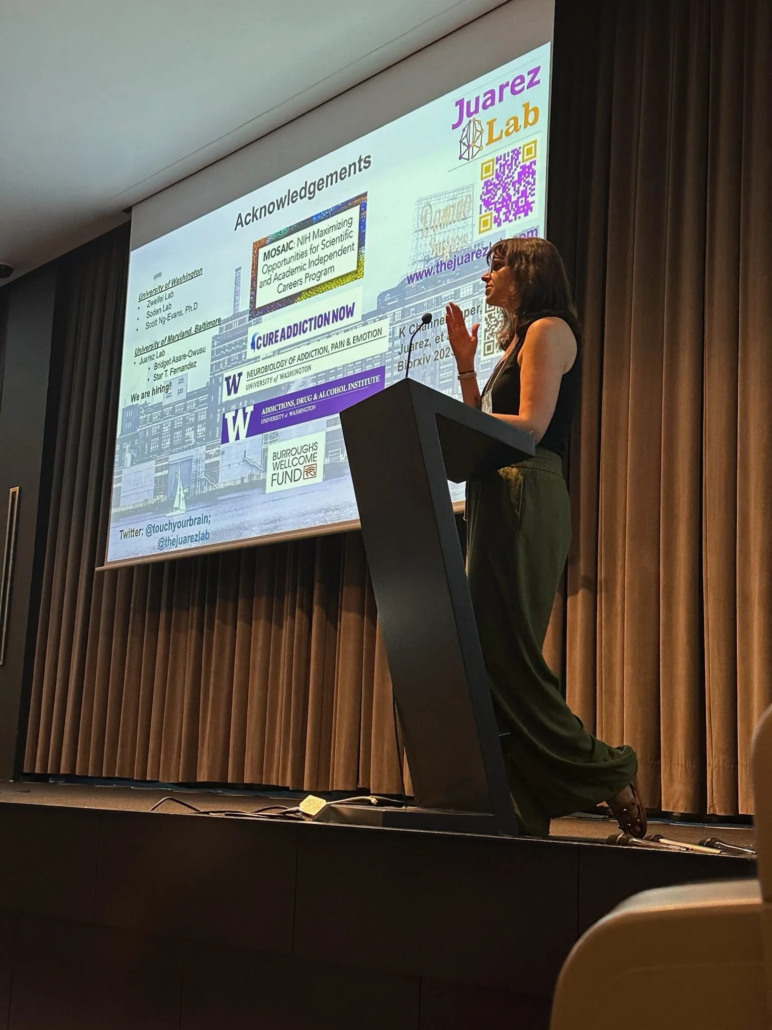 WhatsApp Image 2023-08-19 at 16.28.49.jpeg