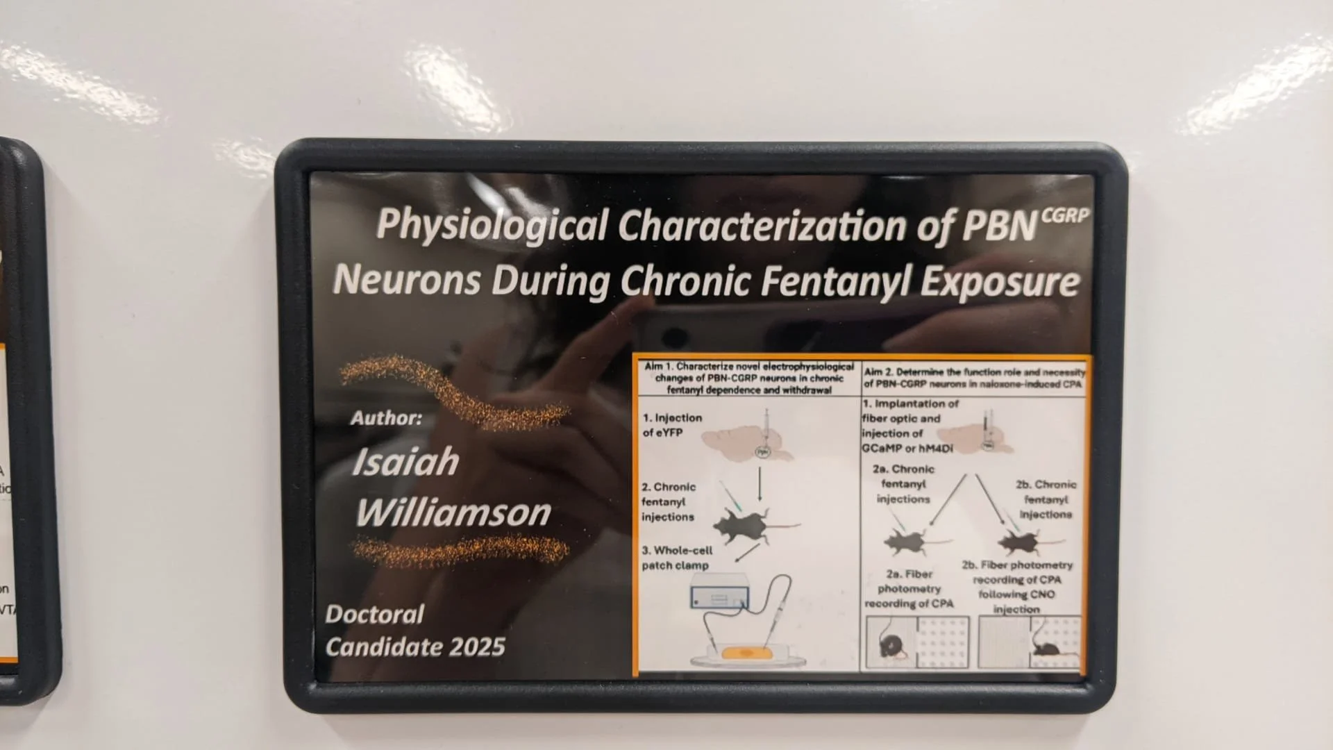 WhatsApp Image 2025-04-24 at 15.02.47.jpeg