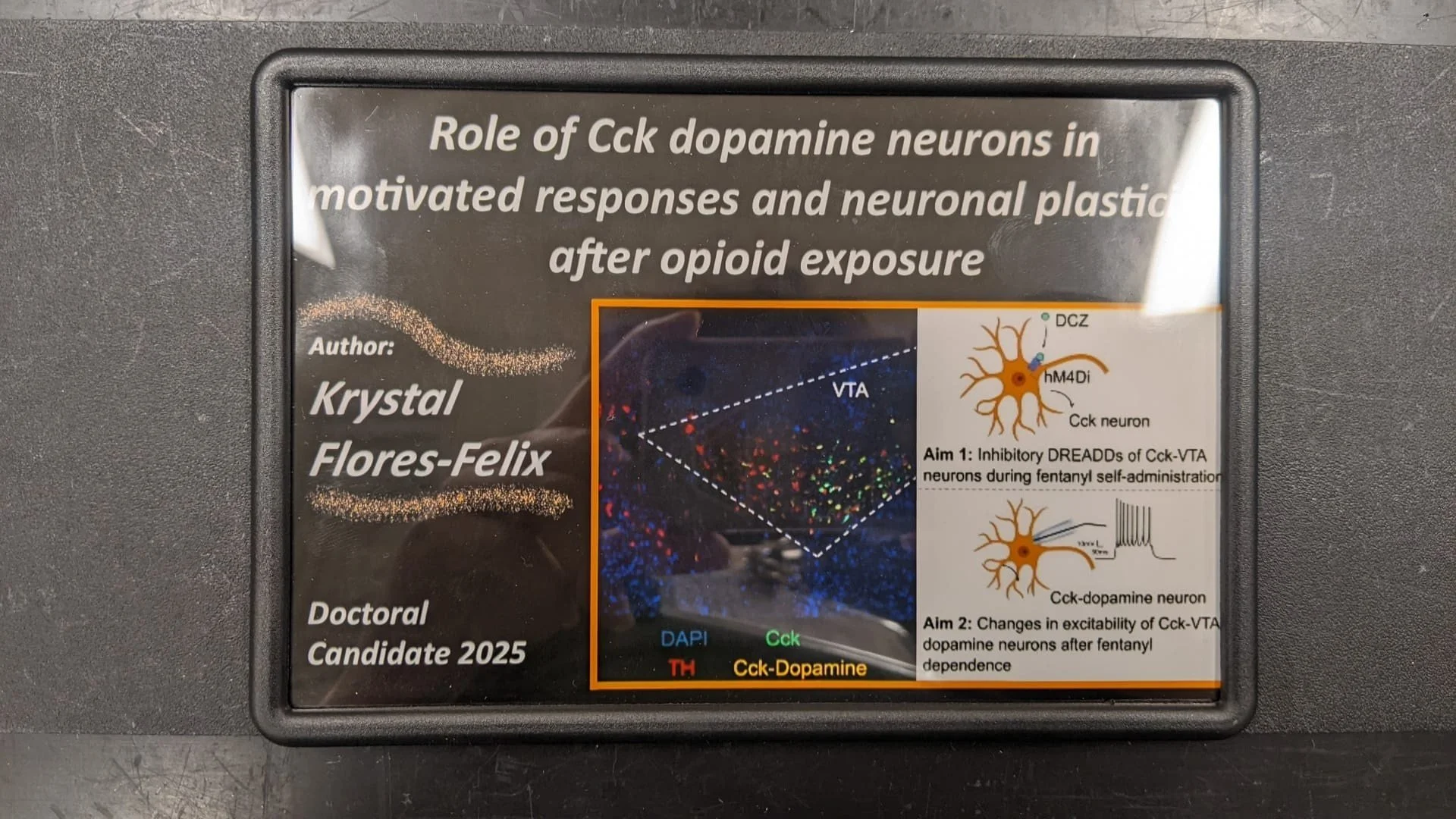 WhatsApp Image 2025-03-24 at 12.07.03.jpg