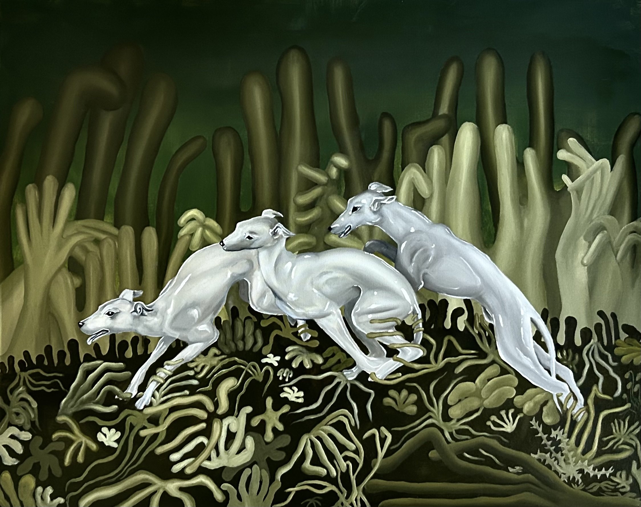 Tangled, 2023
Oil on Canvas
81 x 102 cm