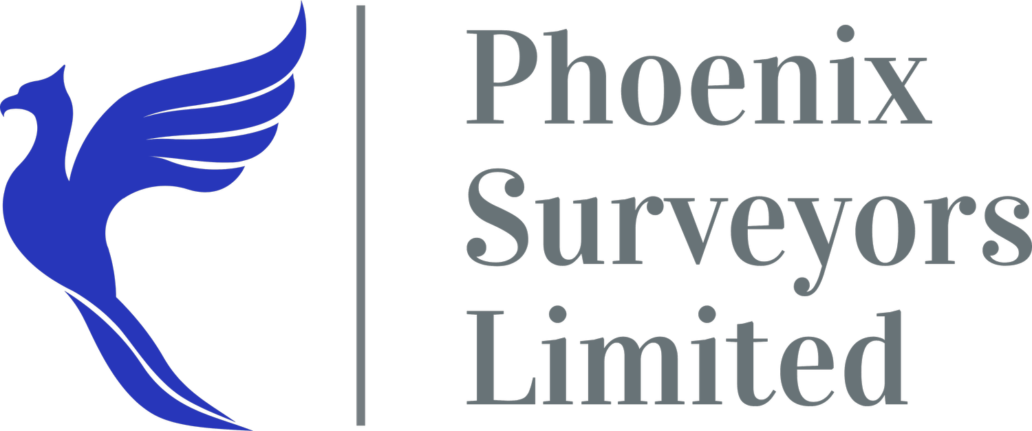 Phoenix Surveyors